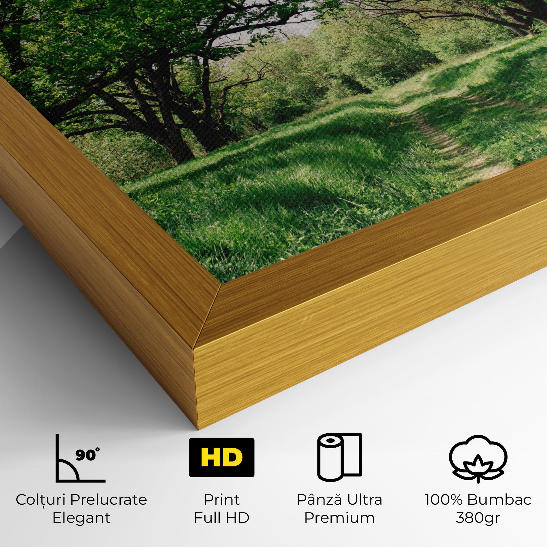 Tablou Canvas Forest Green Path mockup 4