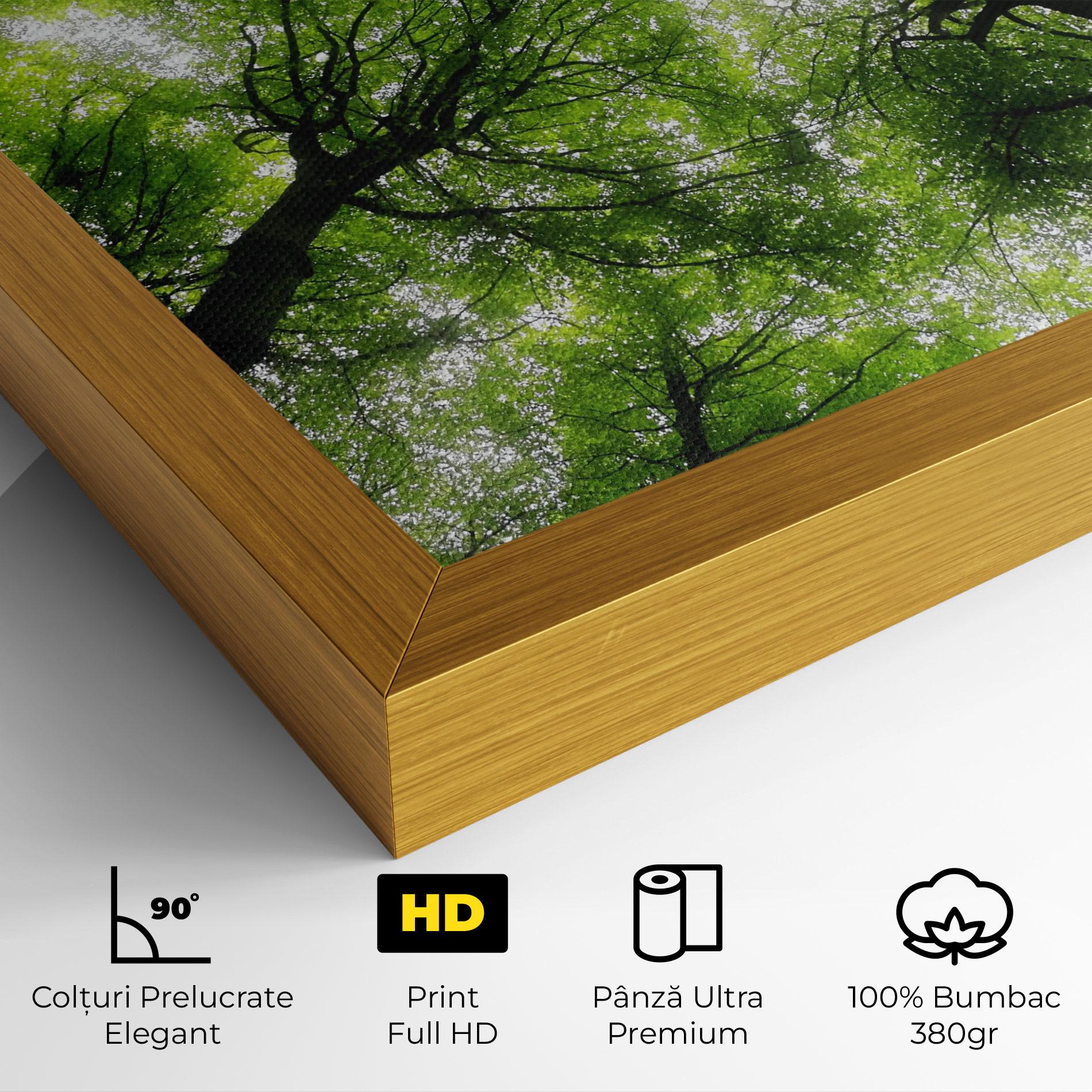 Tablou Canvas Forest Green Tree mockup 4
