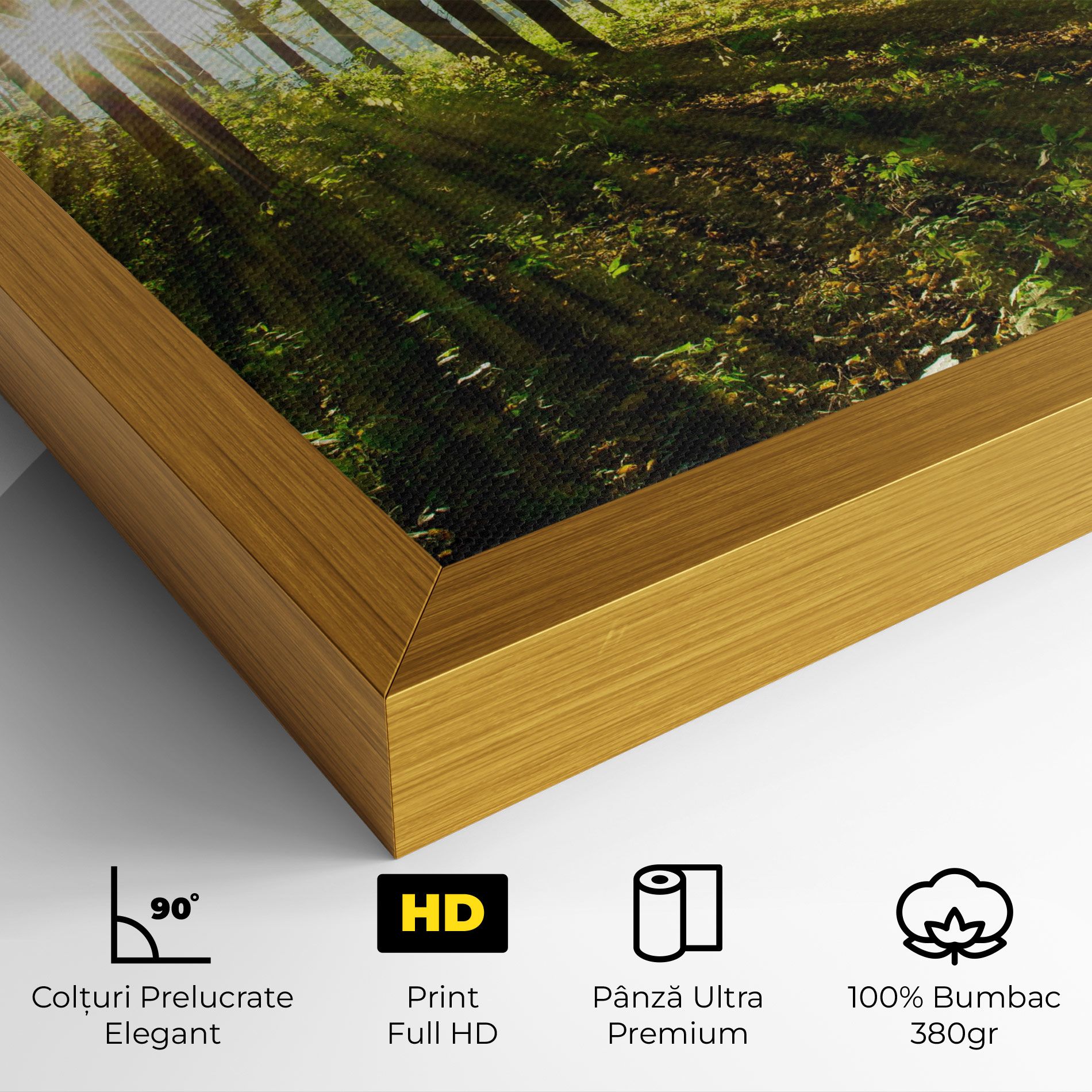 Green Light Forest mockup 4