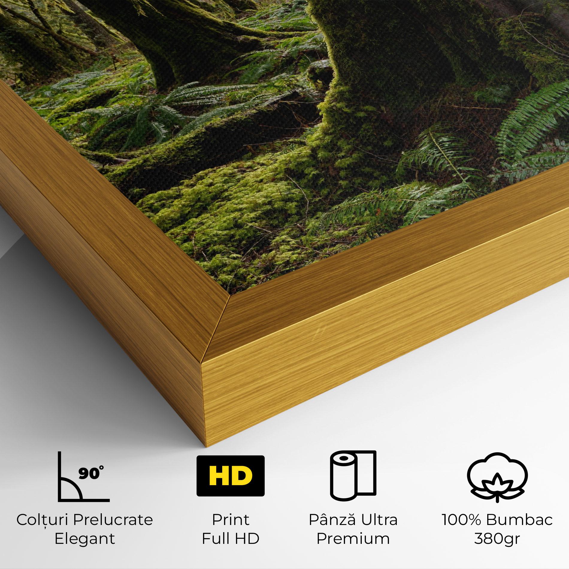 Tablou Canvas Green Moss Forest mockup 4