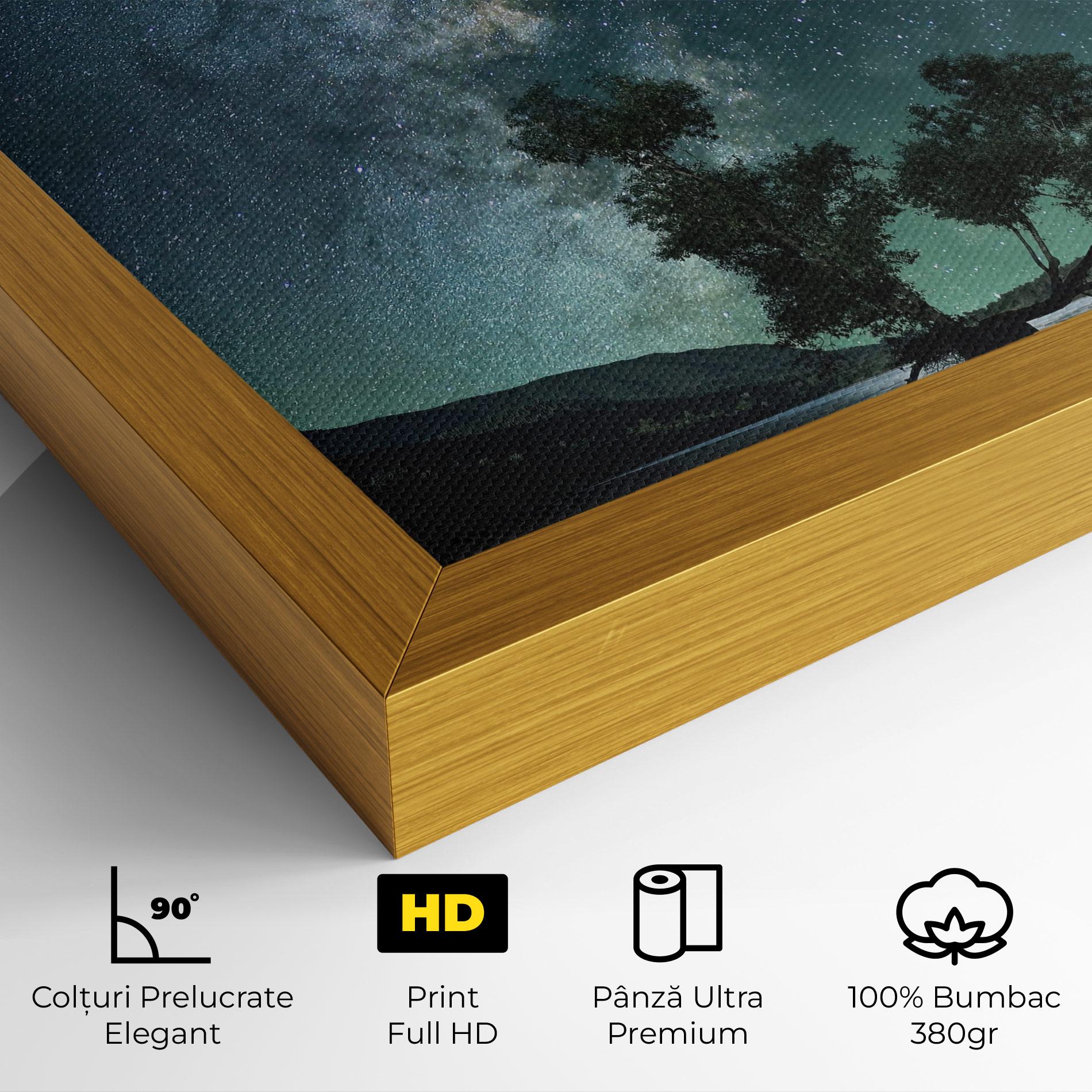 Tablou Canvas Lake Stars mockup 4