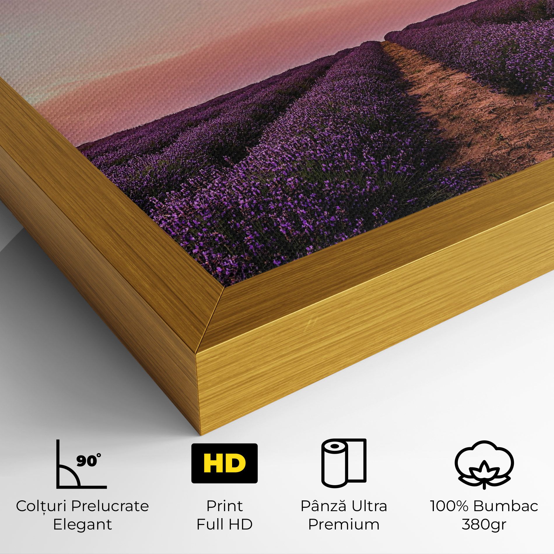Lavender Field mockup 4