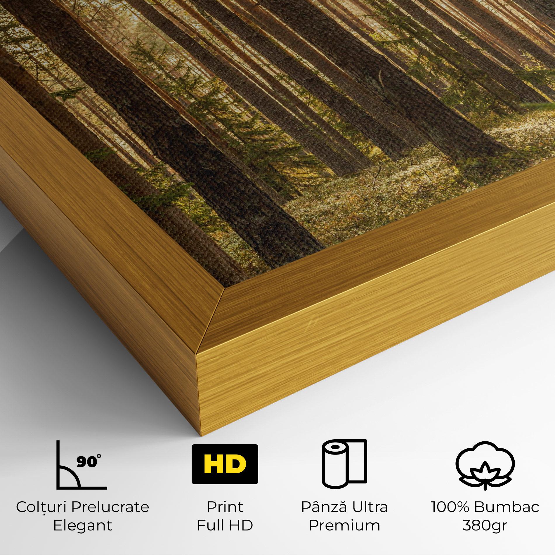 Tablou Canvas Sunrise Forest mockup 4