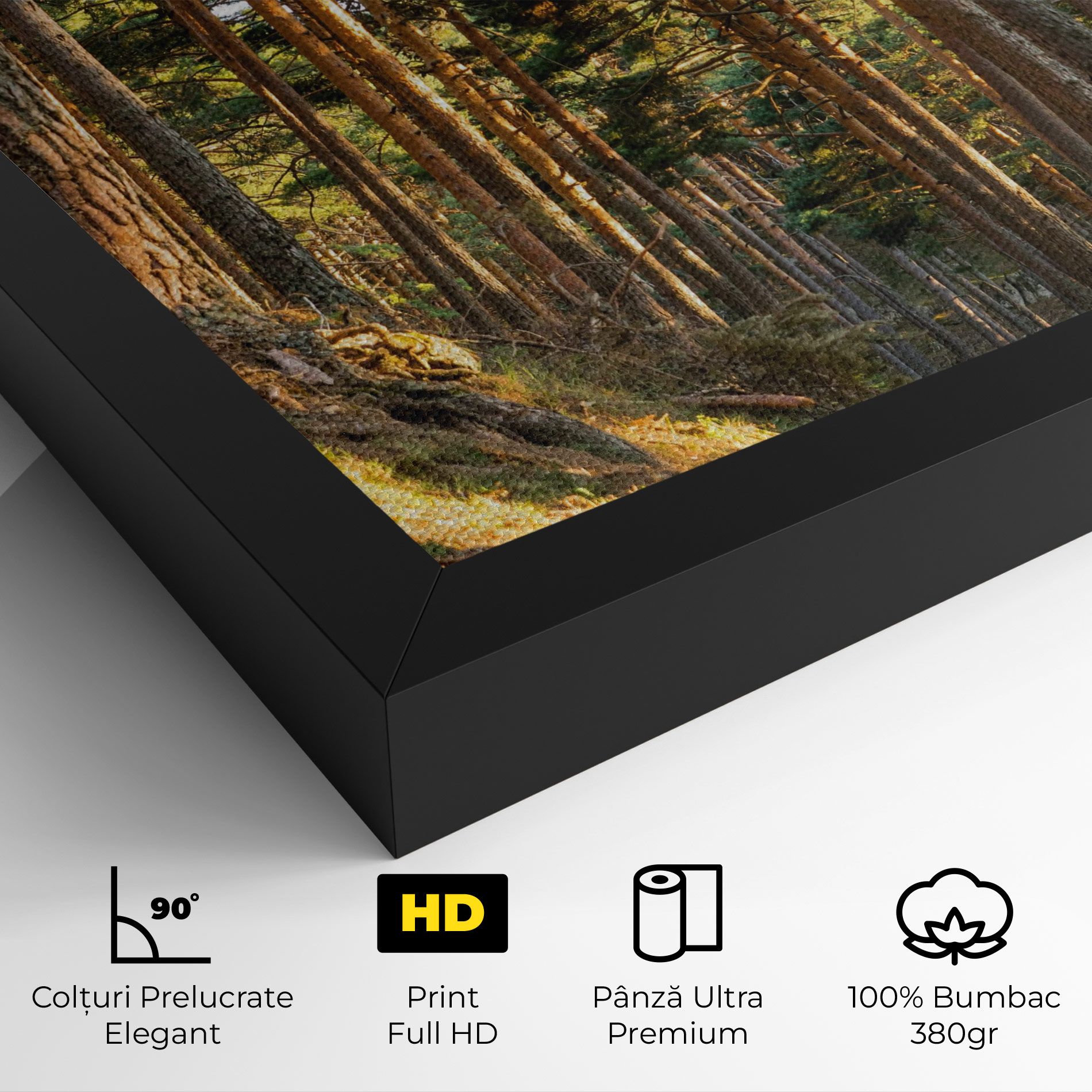 Big Trees Forest mockup 4