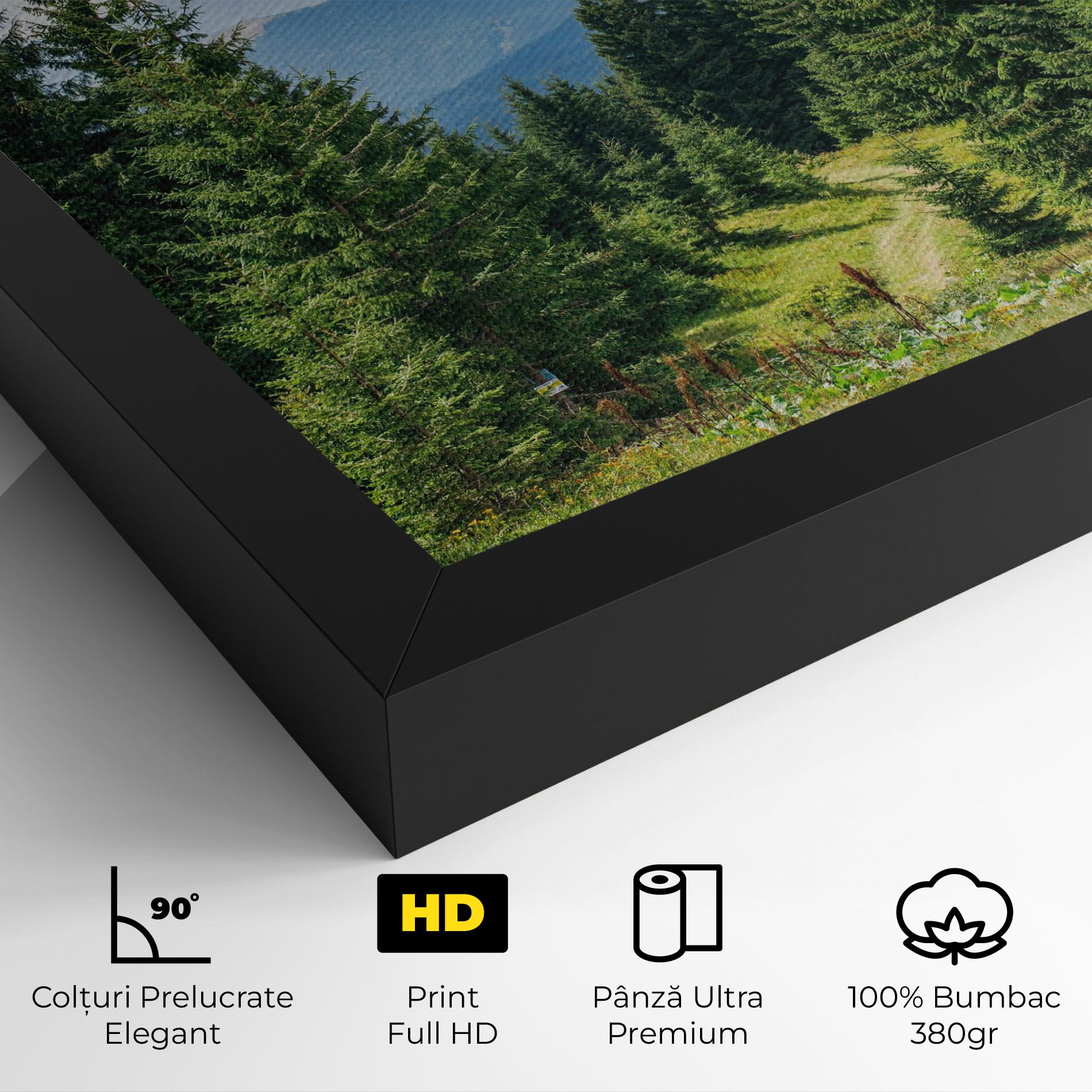 Tablou Canvas Carpathian Mountain mockup 4