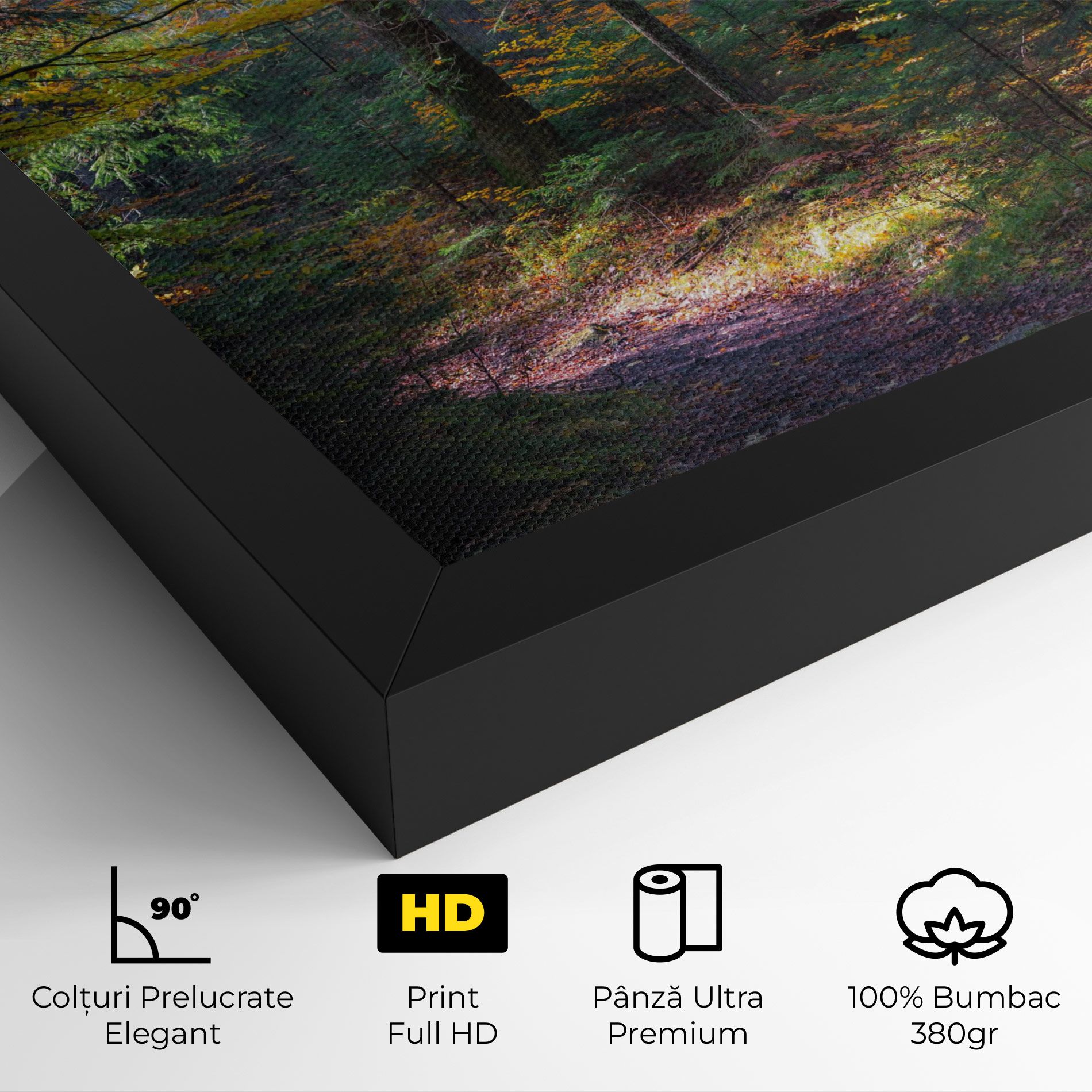 Dreamy Path Dorest mockup 4