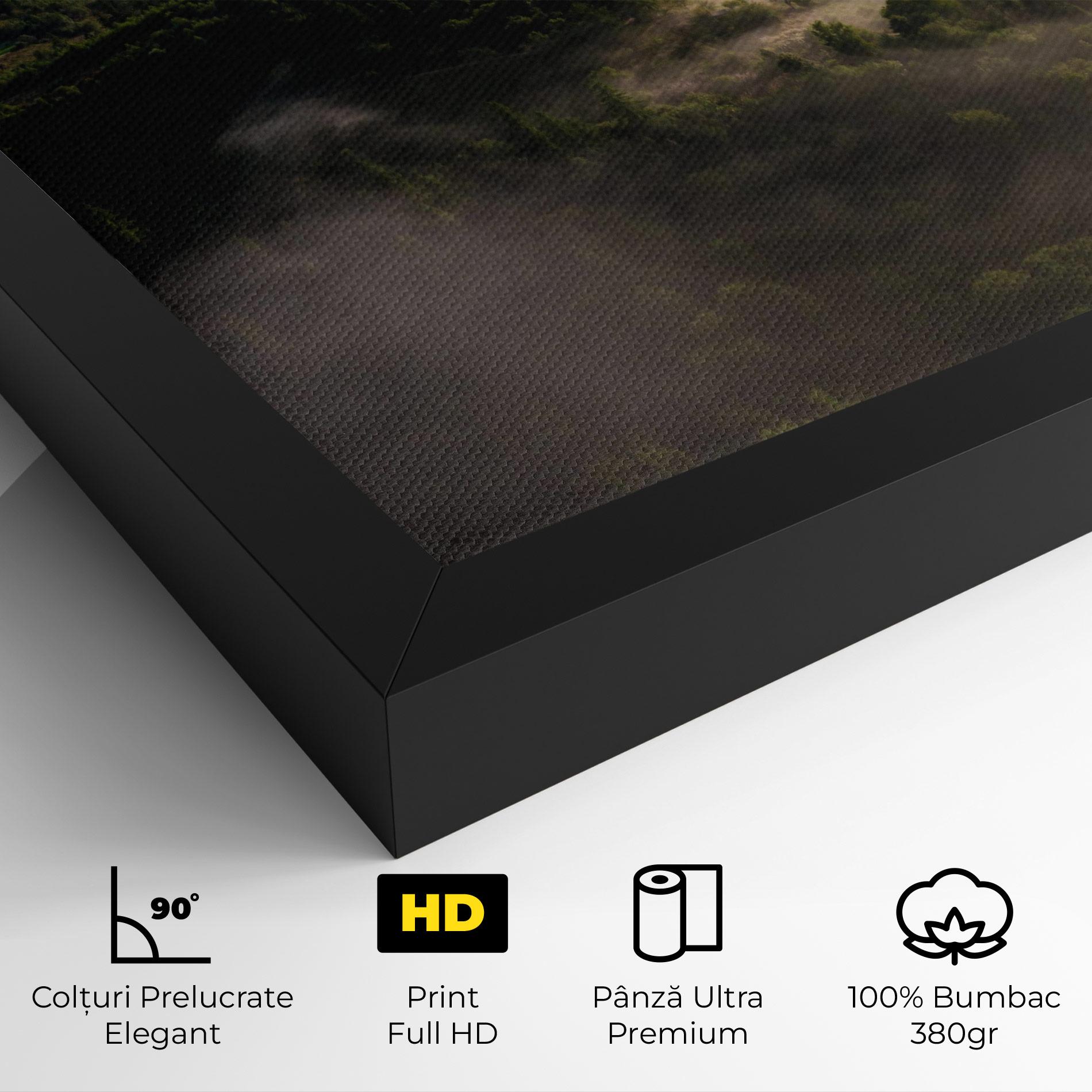 Tablou Canvas Foggy Forest View mockup 4
