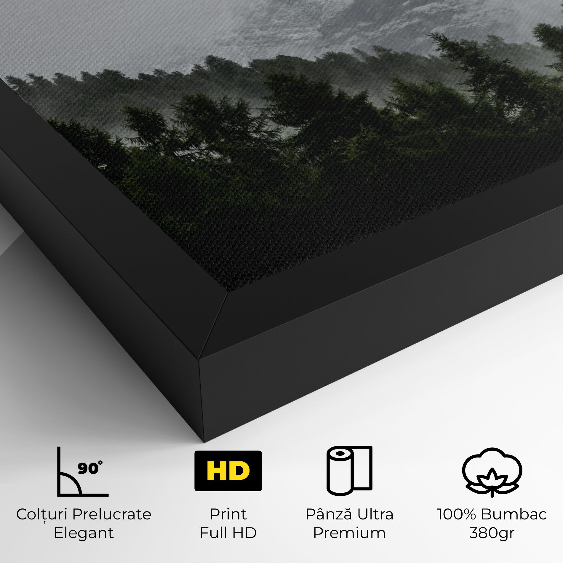 Foggy Mountain Forest mockup 4