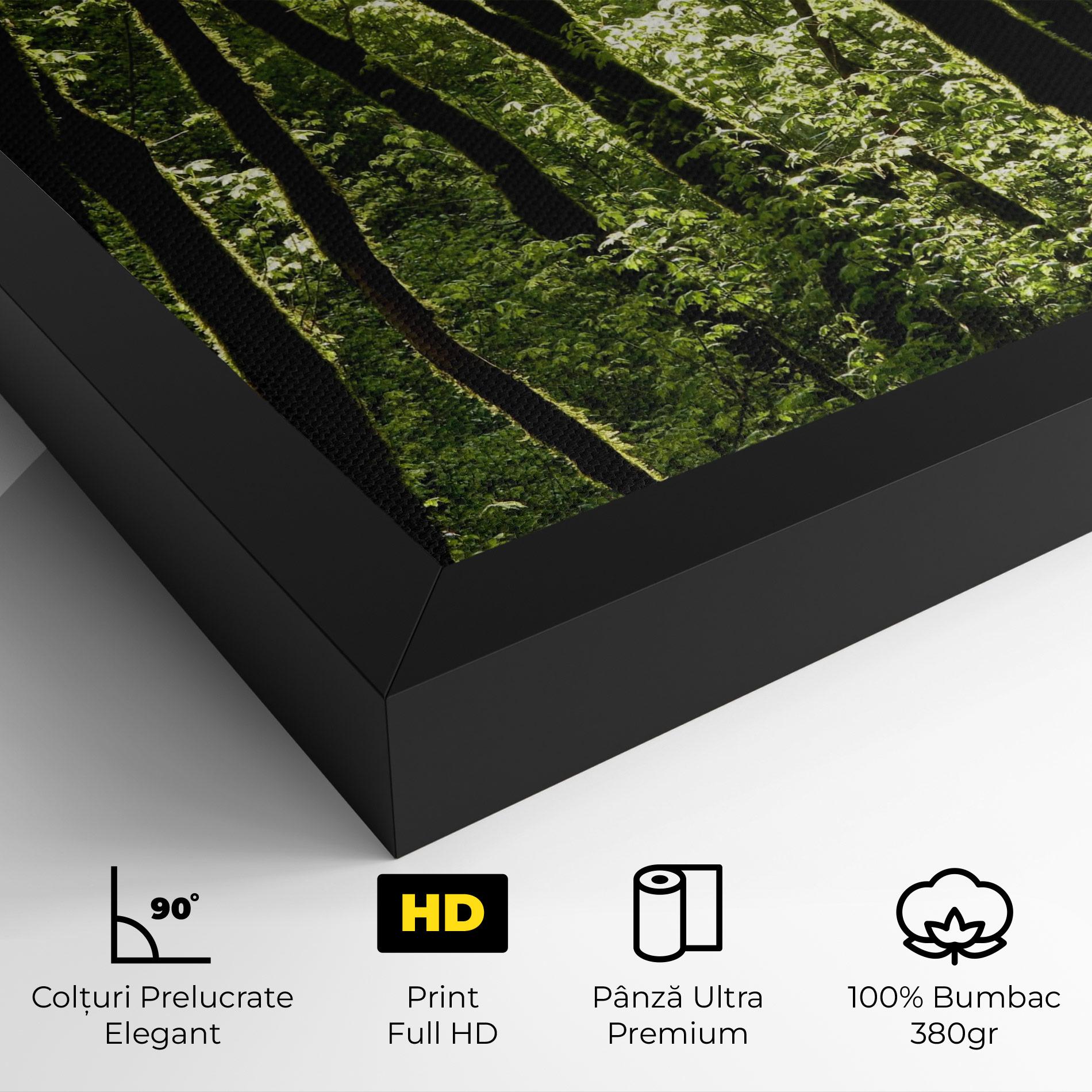 Tablou Canvas Forest Black Trees mockup 4