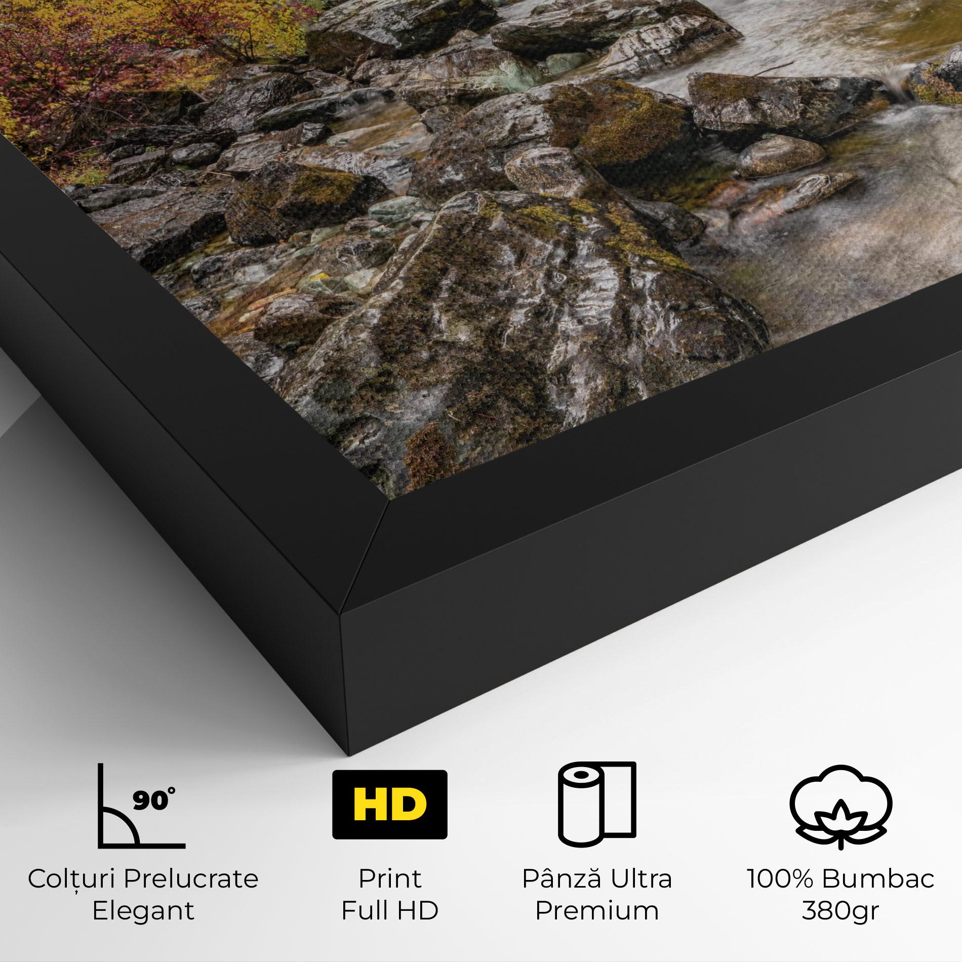 Tablou Canvas Forest Lake Rocks mockup 4