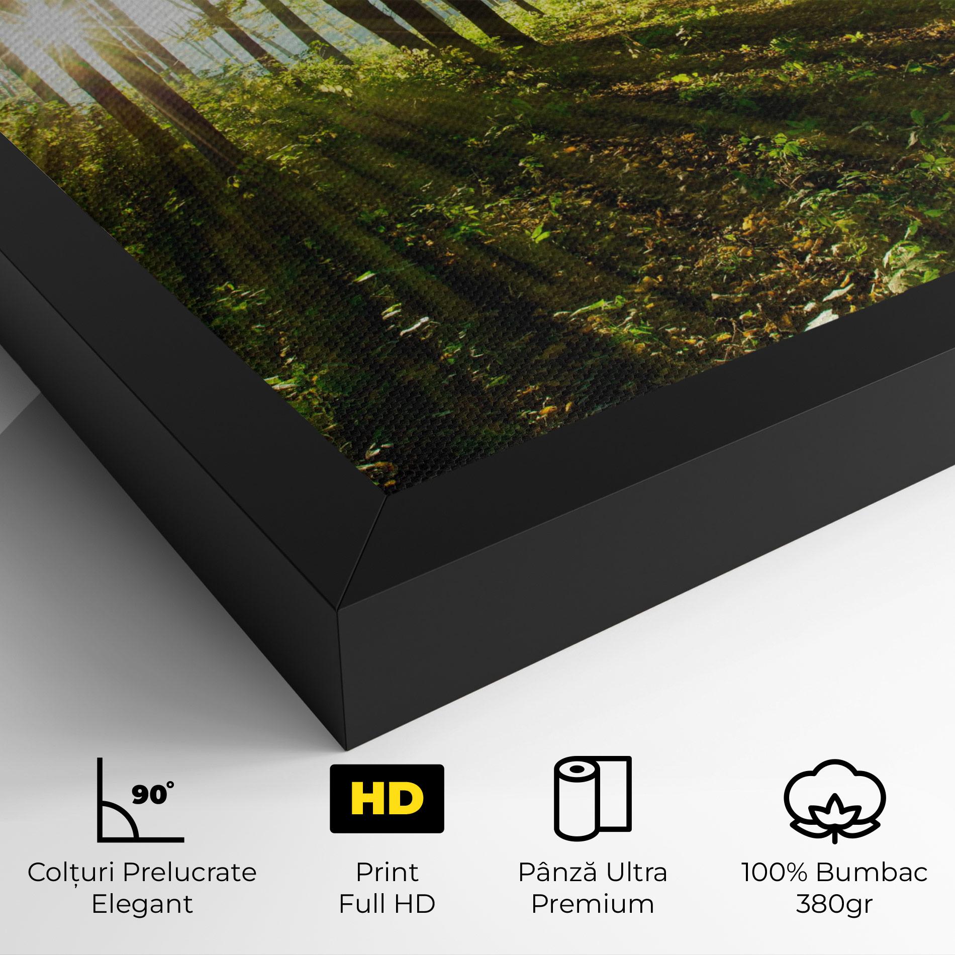 Tablou Canvas Green Light Forest mockup 4