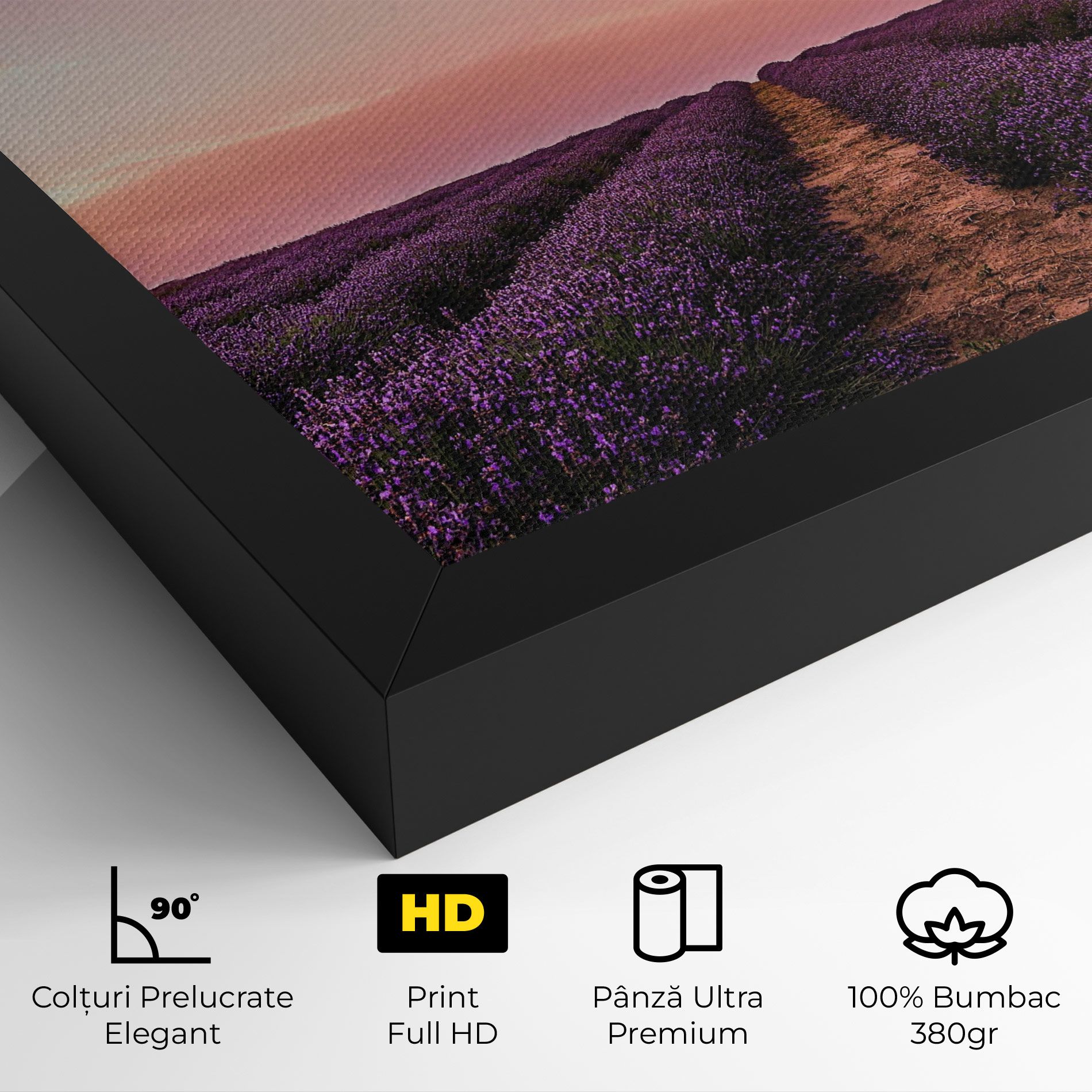 Lavender Field mockup 4