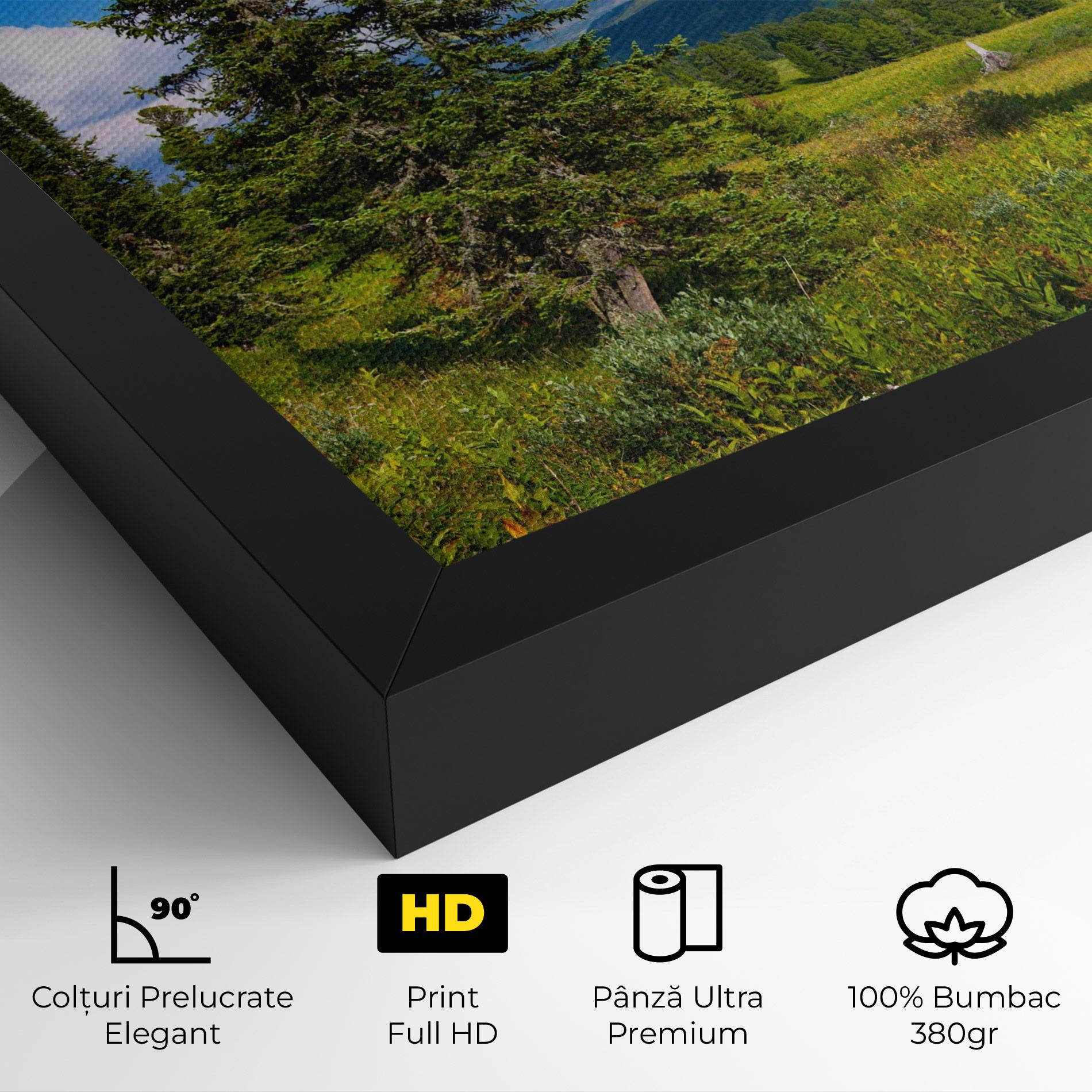 Tablou Canvas Morning Sunny Field mockup 4