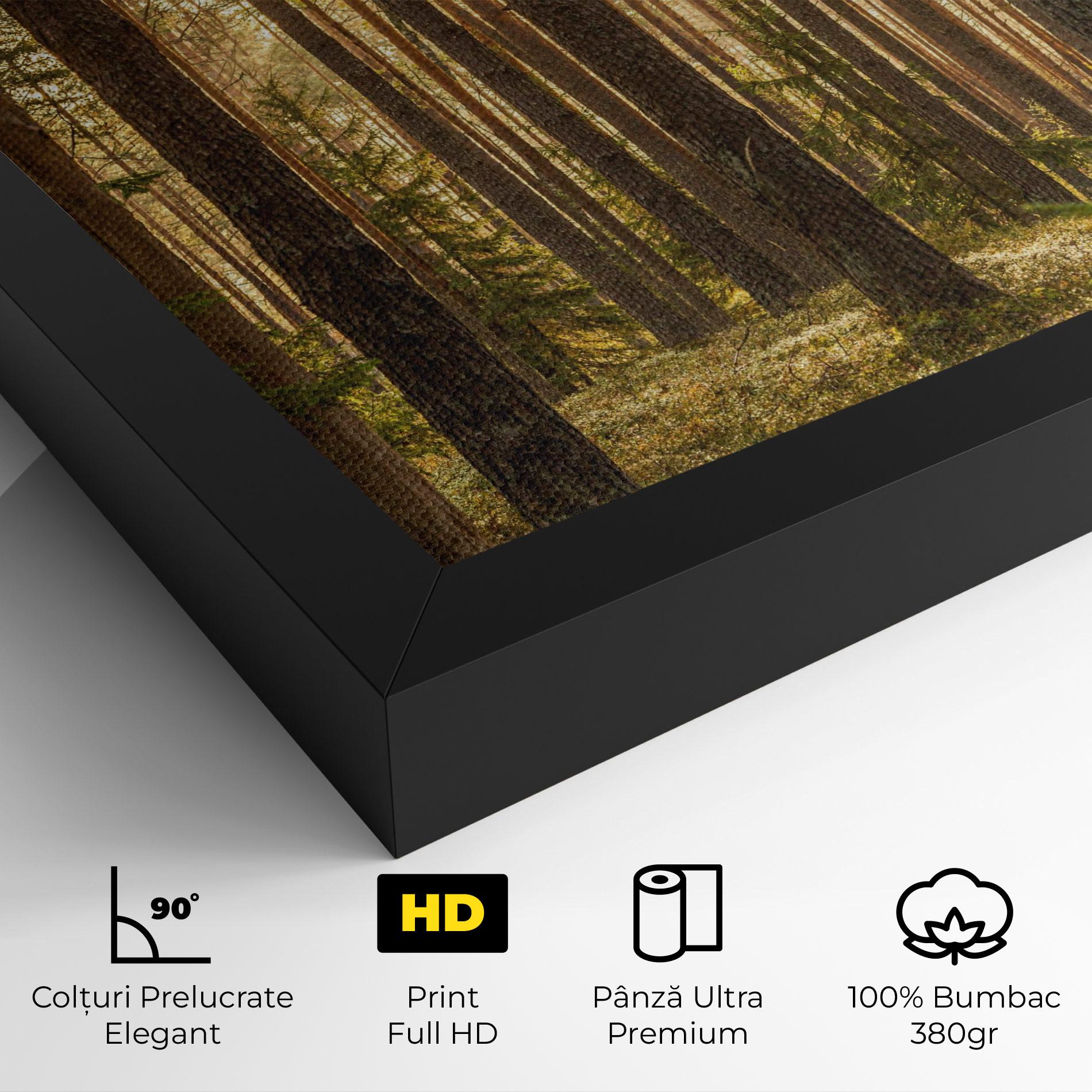 Tablou Canvas Sunrise Forest mockup 4