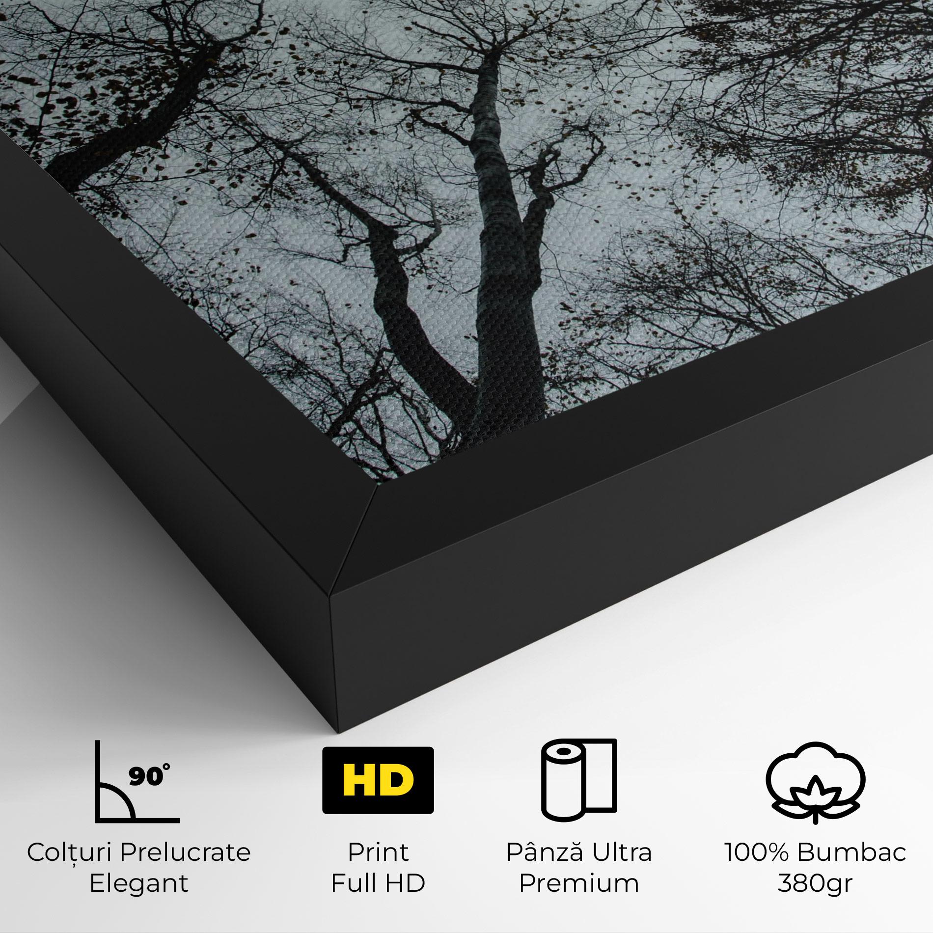 Tablou Canvas Trees Touching mockup 4