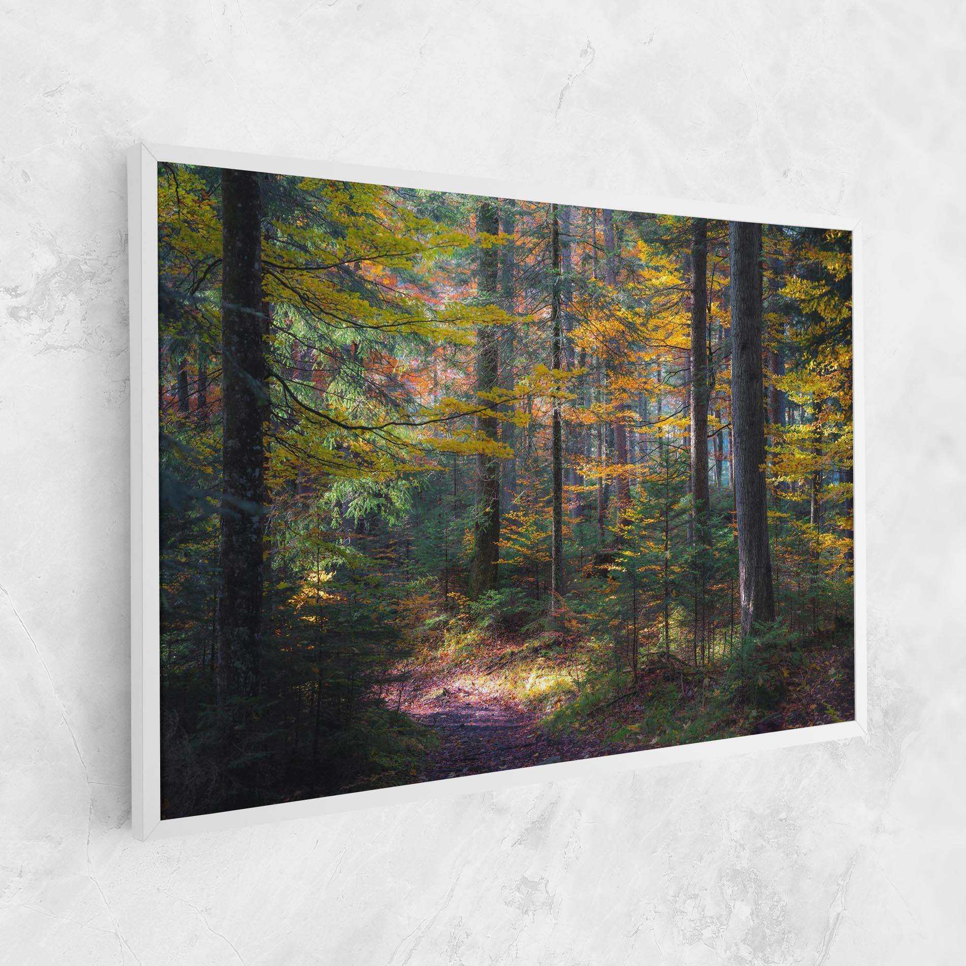 Tablou Canvas Dreamy Path Dorest mockup 1