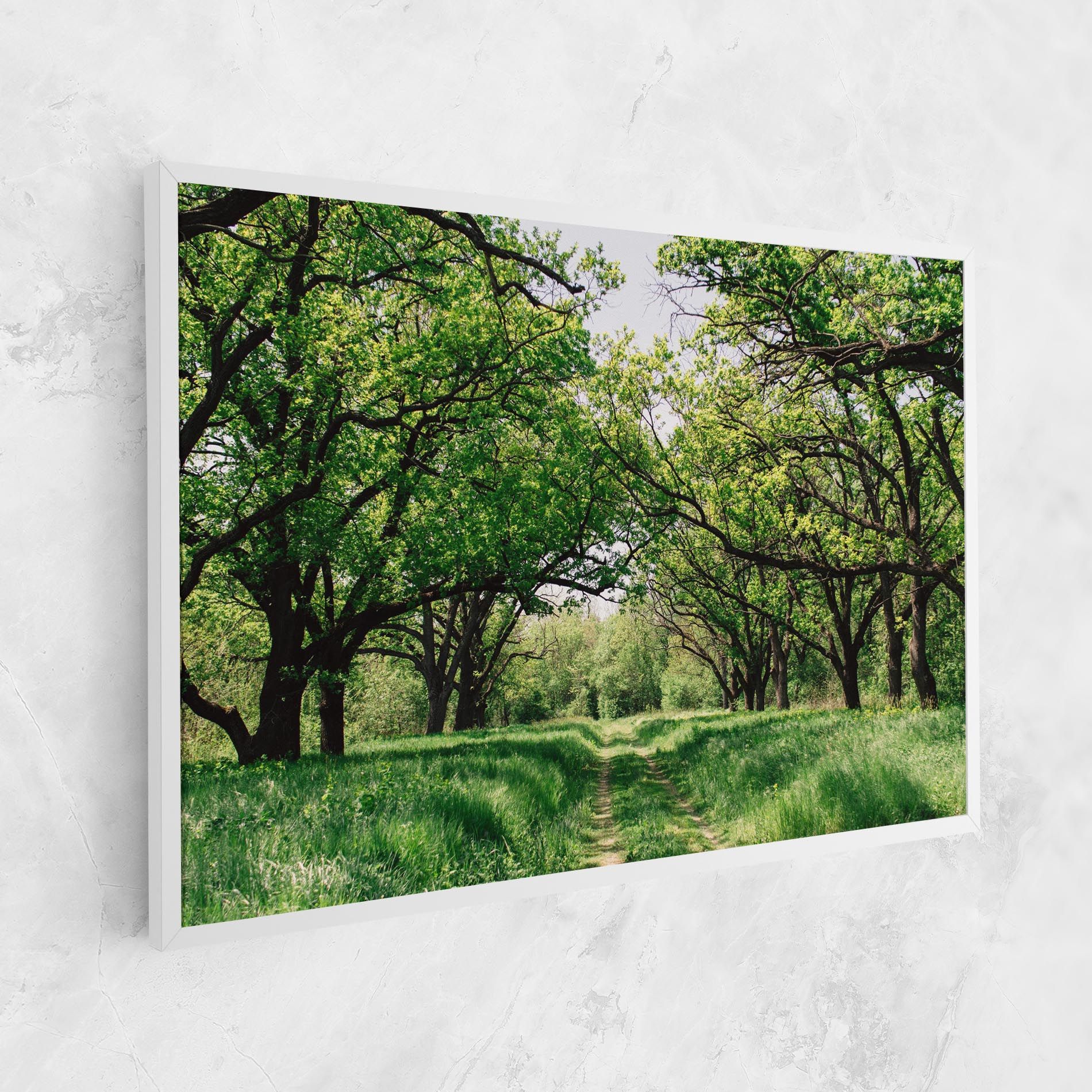 Forest Green Path mockup 1