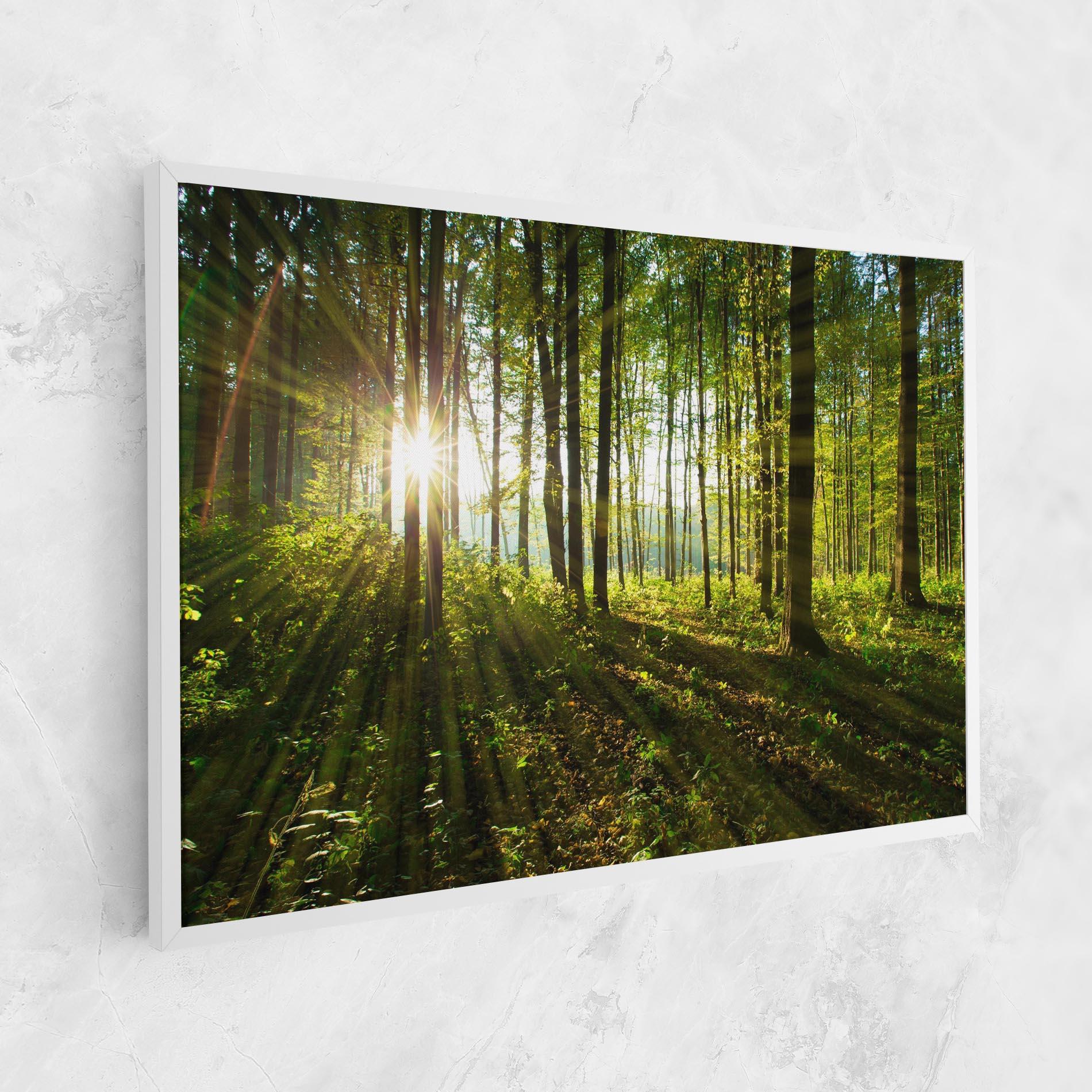 Tablou Canvas Green Light Forest mockup 1