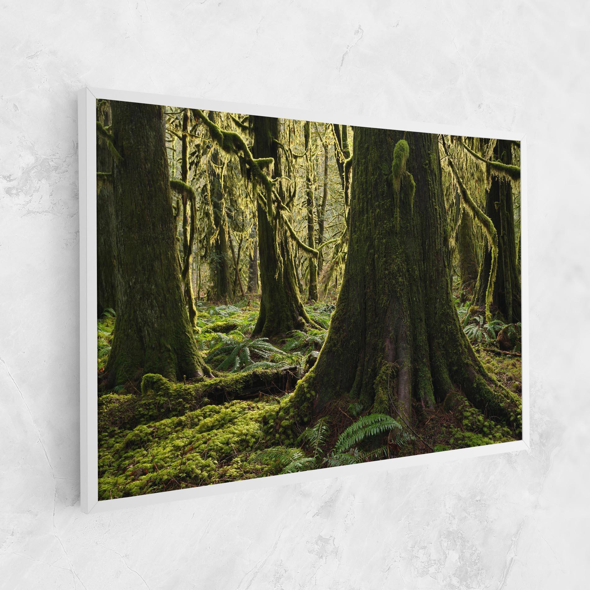 Tablou Canvas Green Moss Forest mockup 1