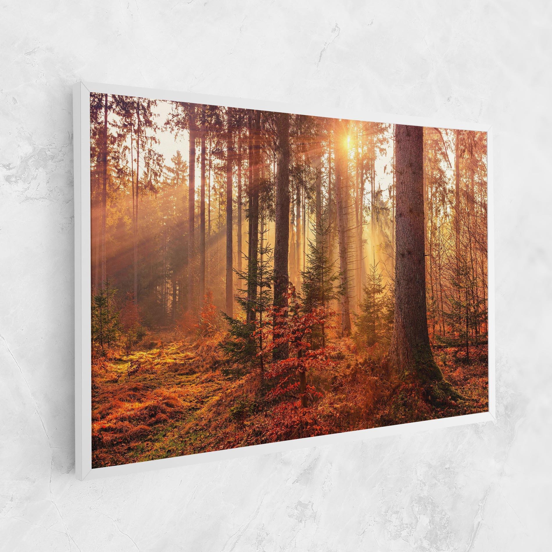 Tablou Canvas Orange Light Forest mockup 1