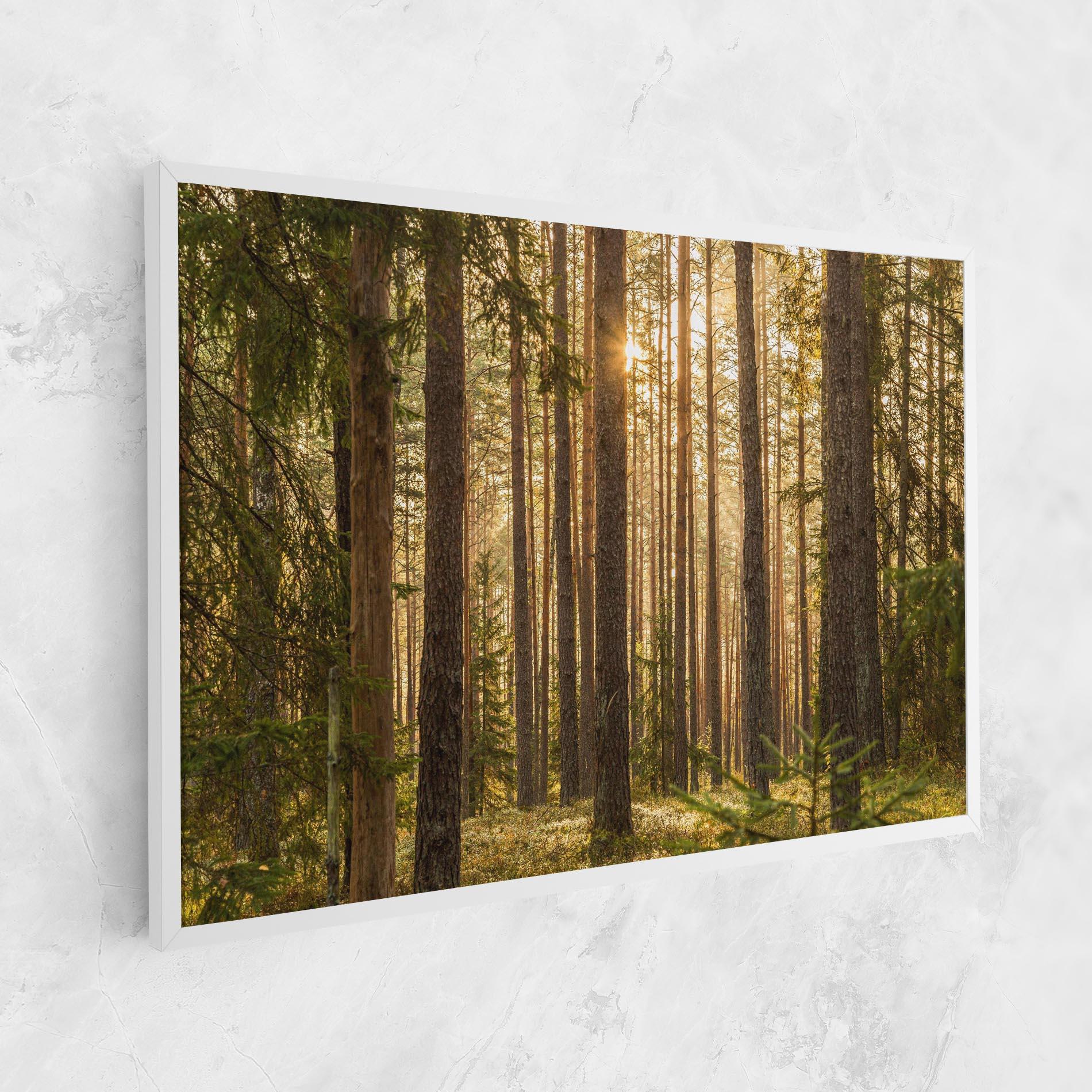 Tablou Canvas Sunrise Forest mockup 1