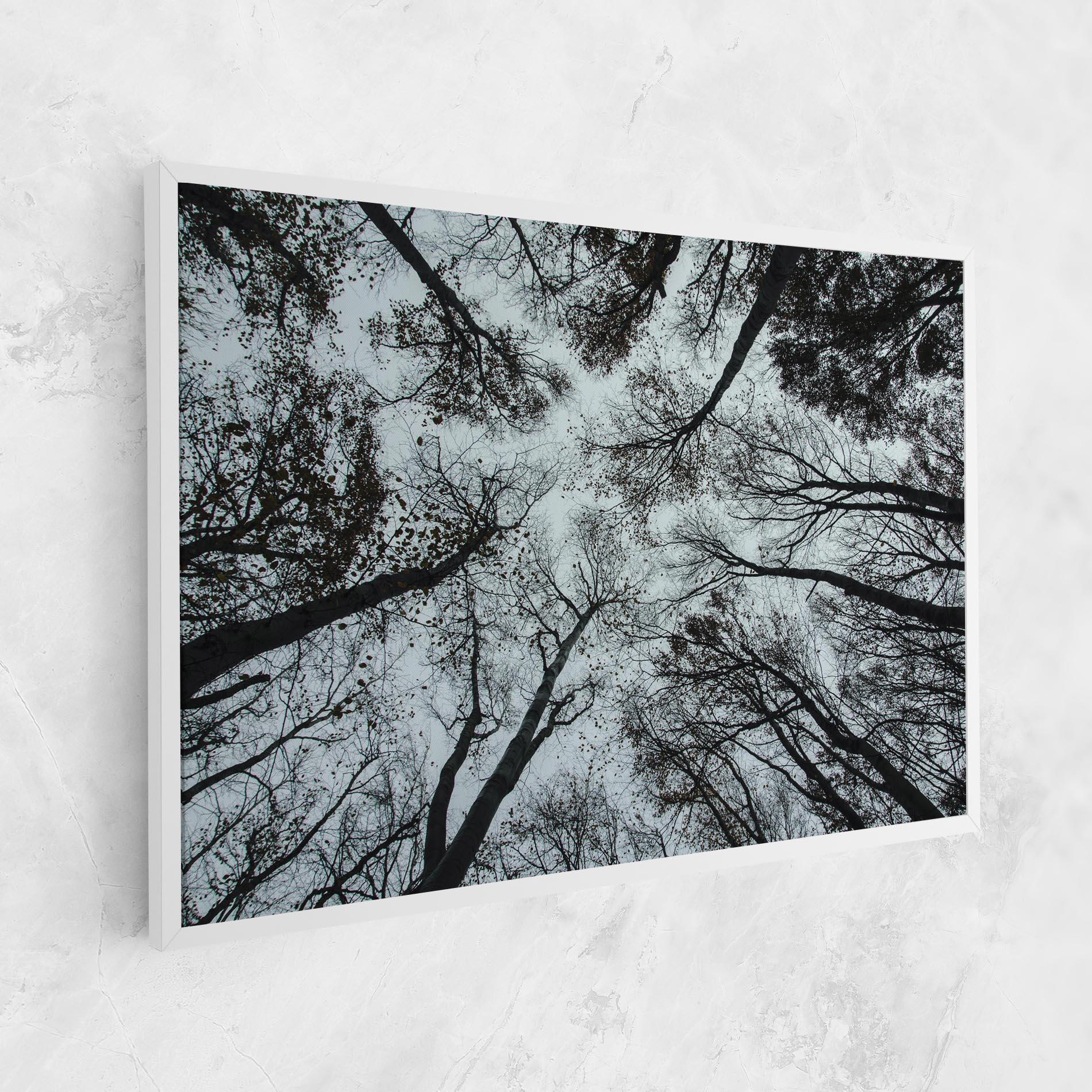 Tablou Canvas Trees Touching mockup 1
