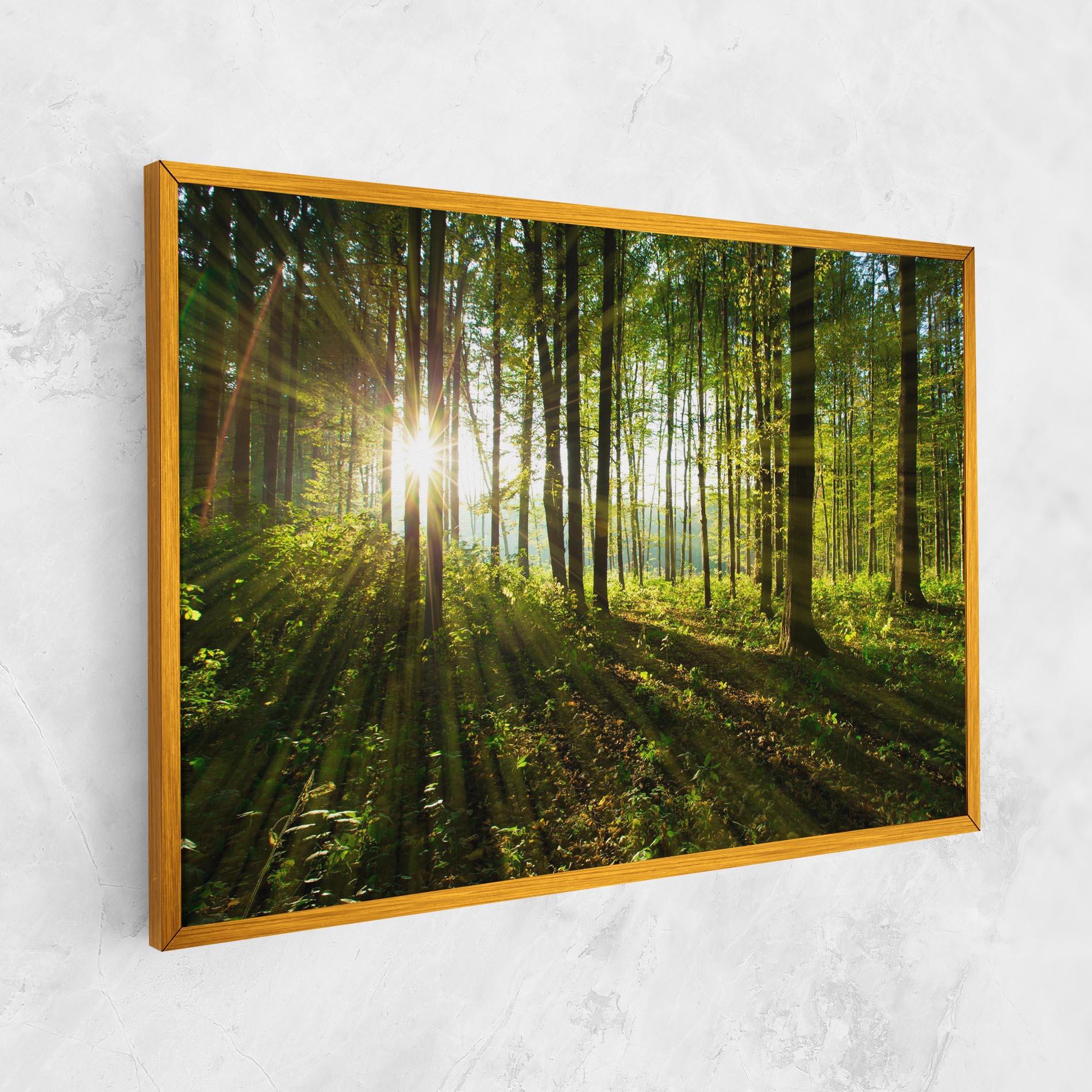 Tablou Canvas Green Light Forest mockup 1