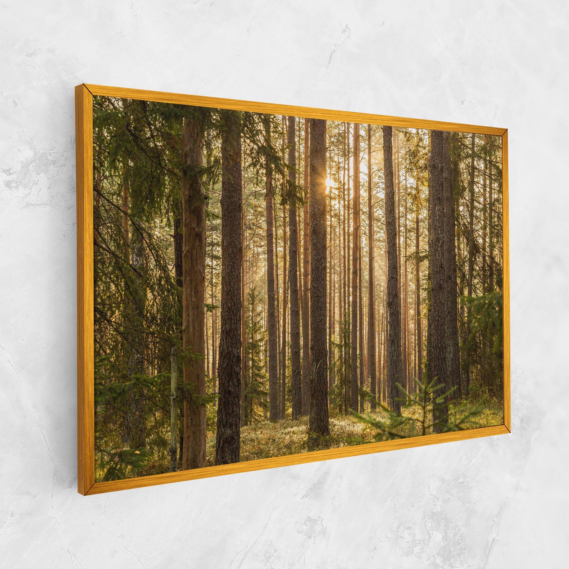 Tablou Canvas Sunrise Forest mockup 1