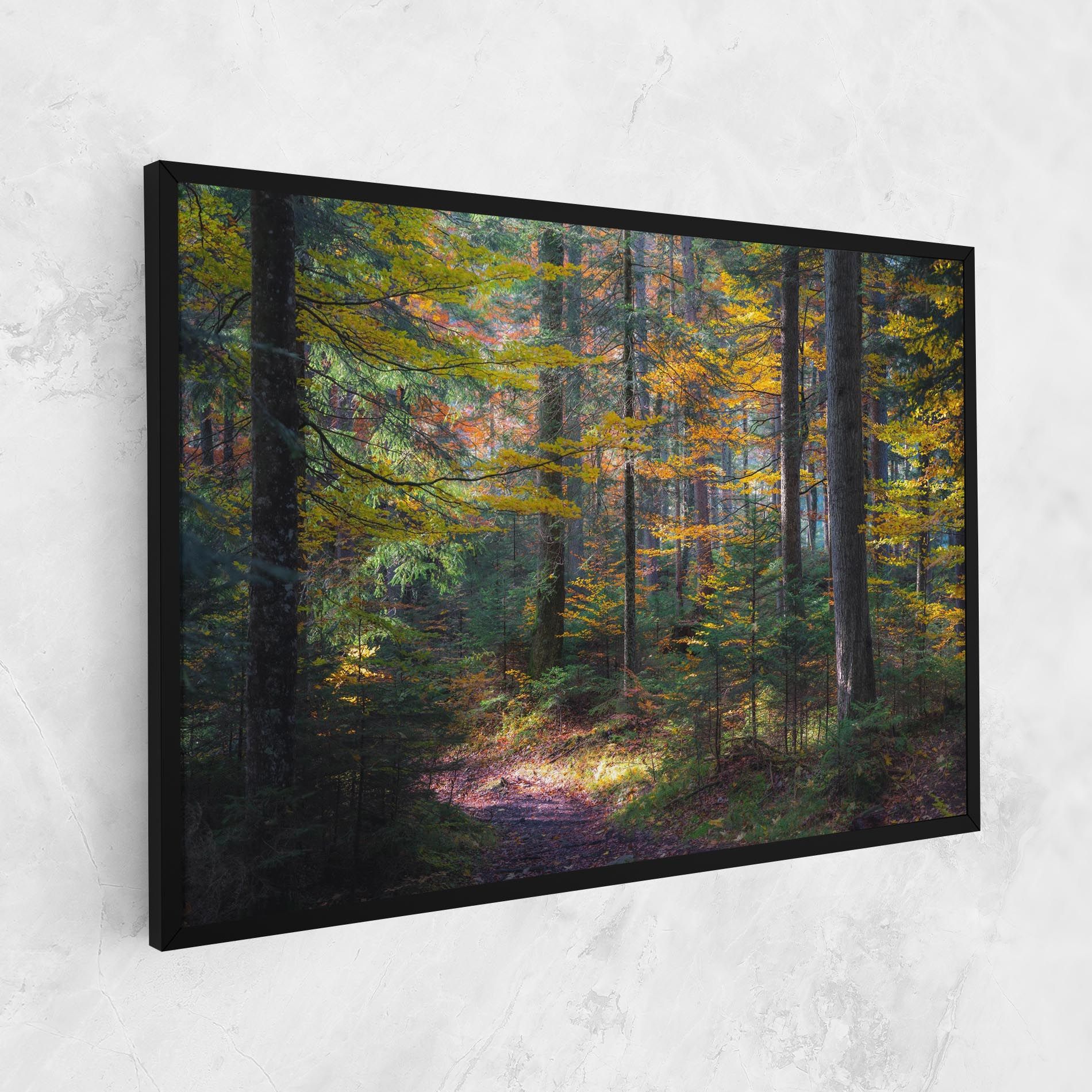 Dreamy Path Dorest mockup 1