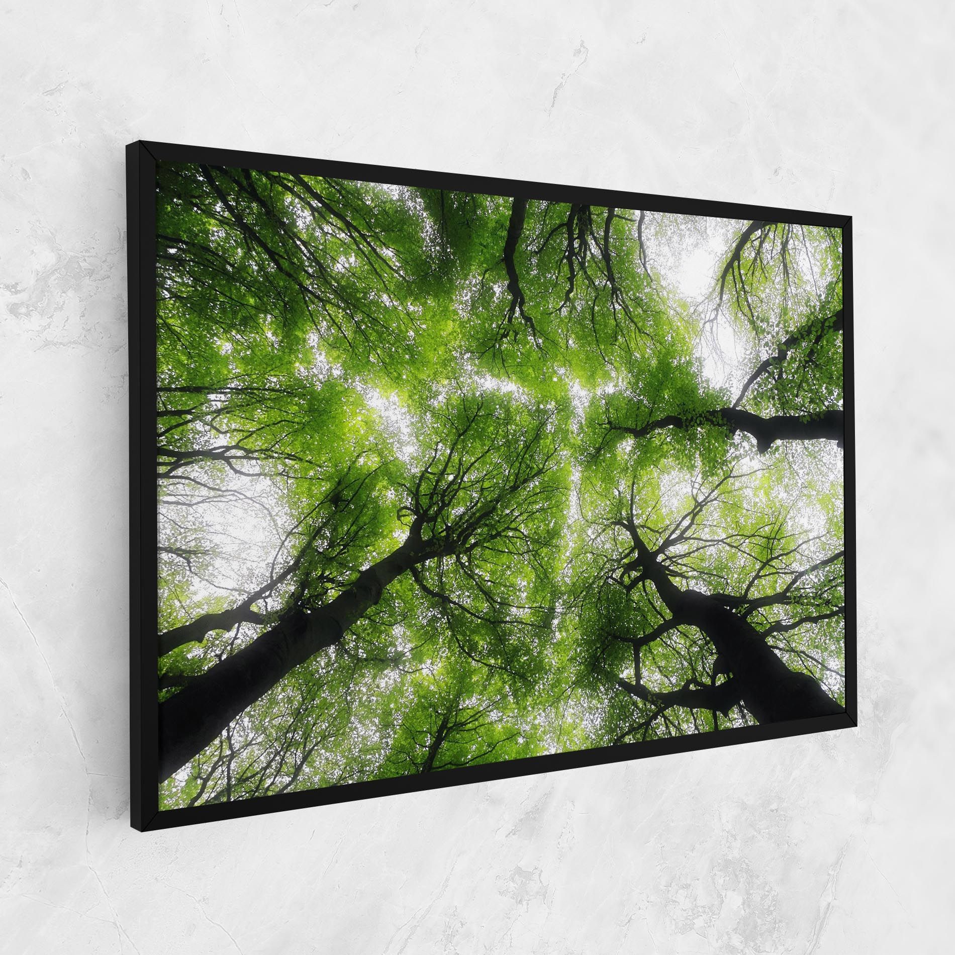 Forest Green Tree mockup 1