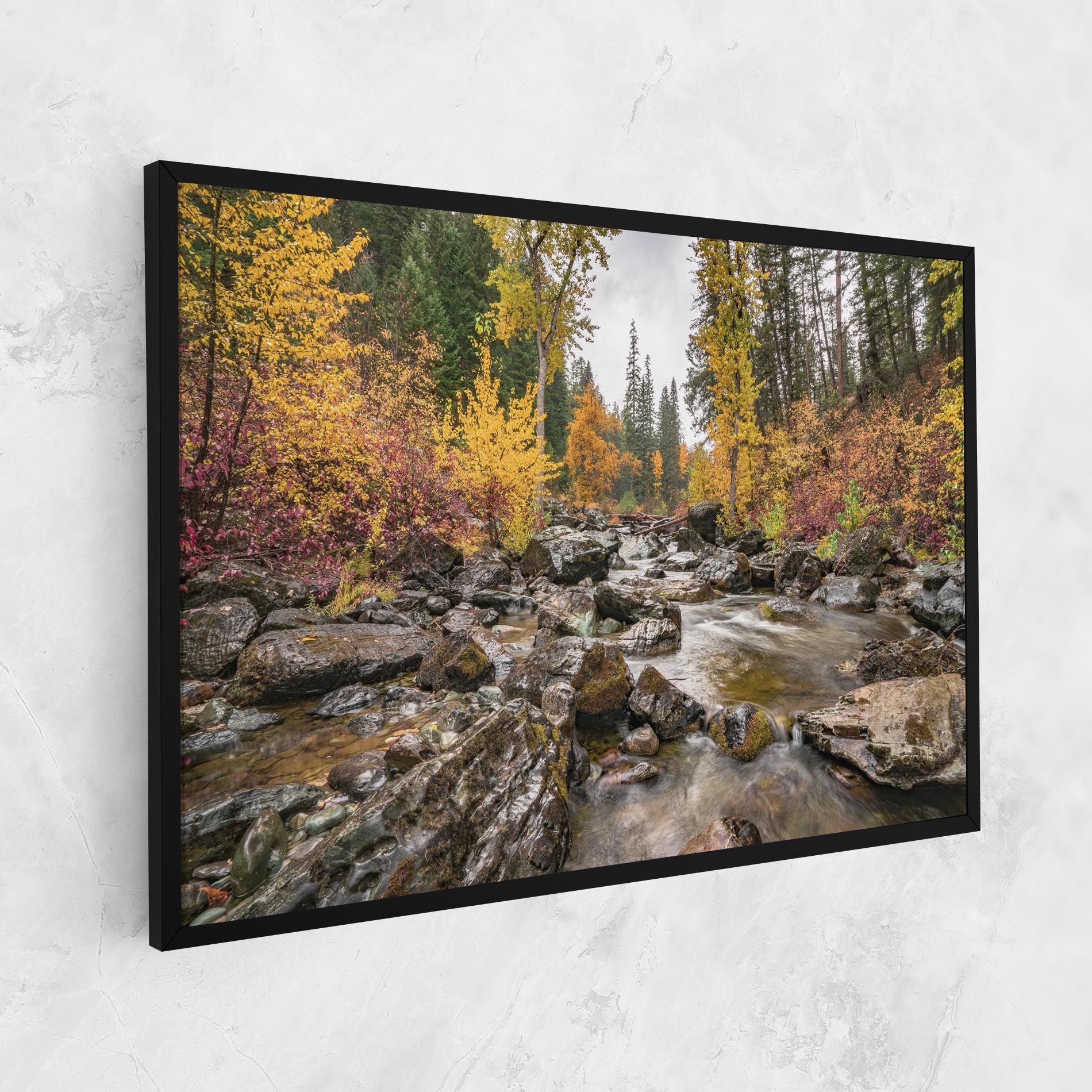 Forest Lake Rocks mockup 1