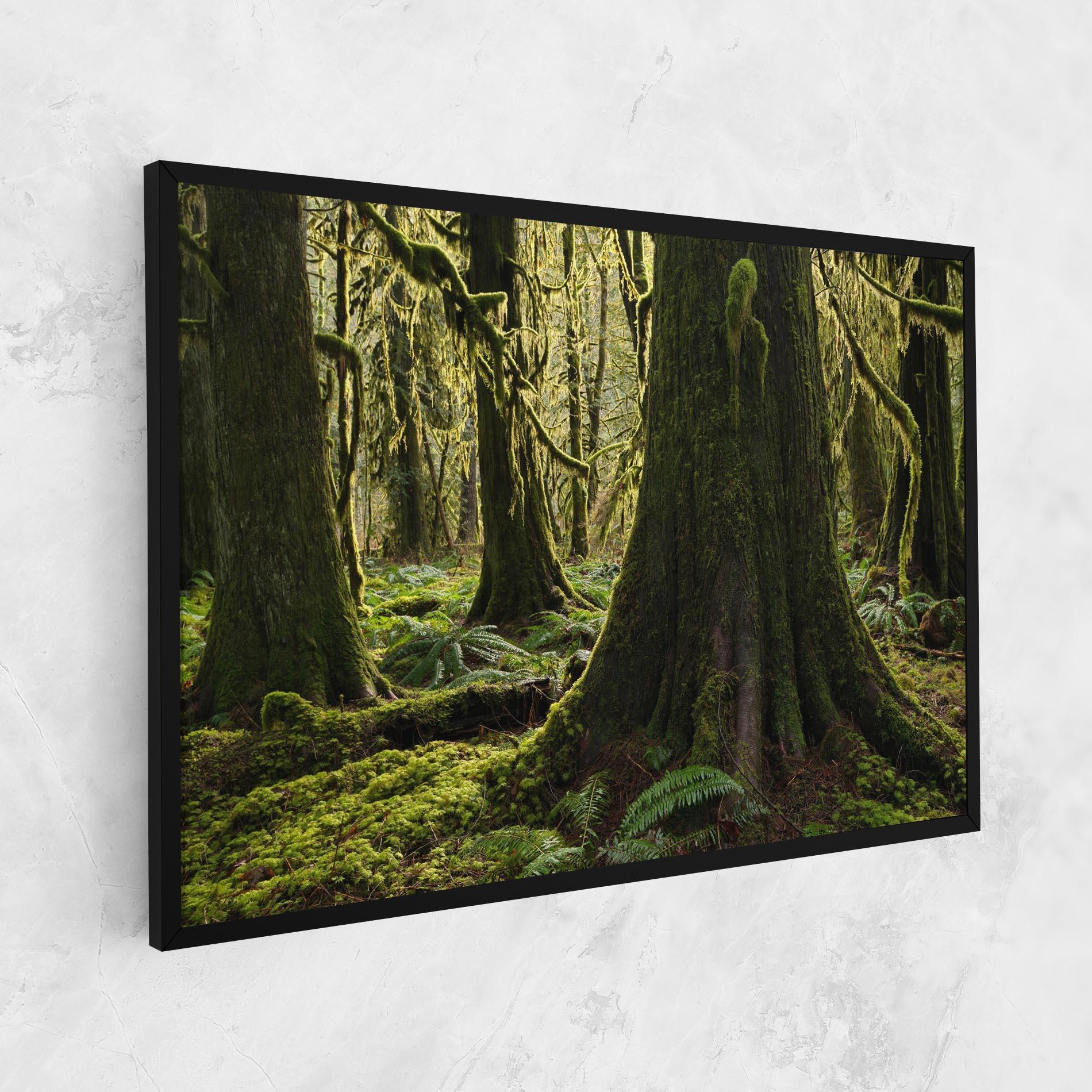 Tablou Canvas Green Moss Forest mockup 1