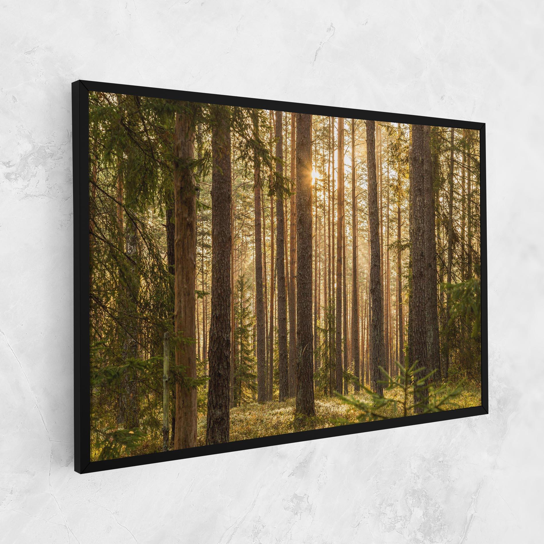 Tablou Canvas Sunrise Forest mockup 1