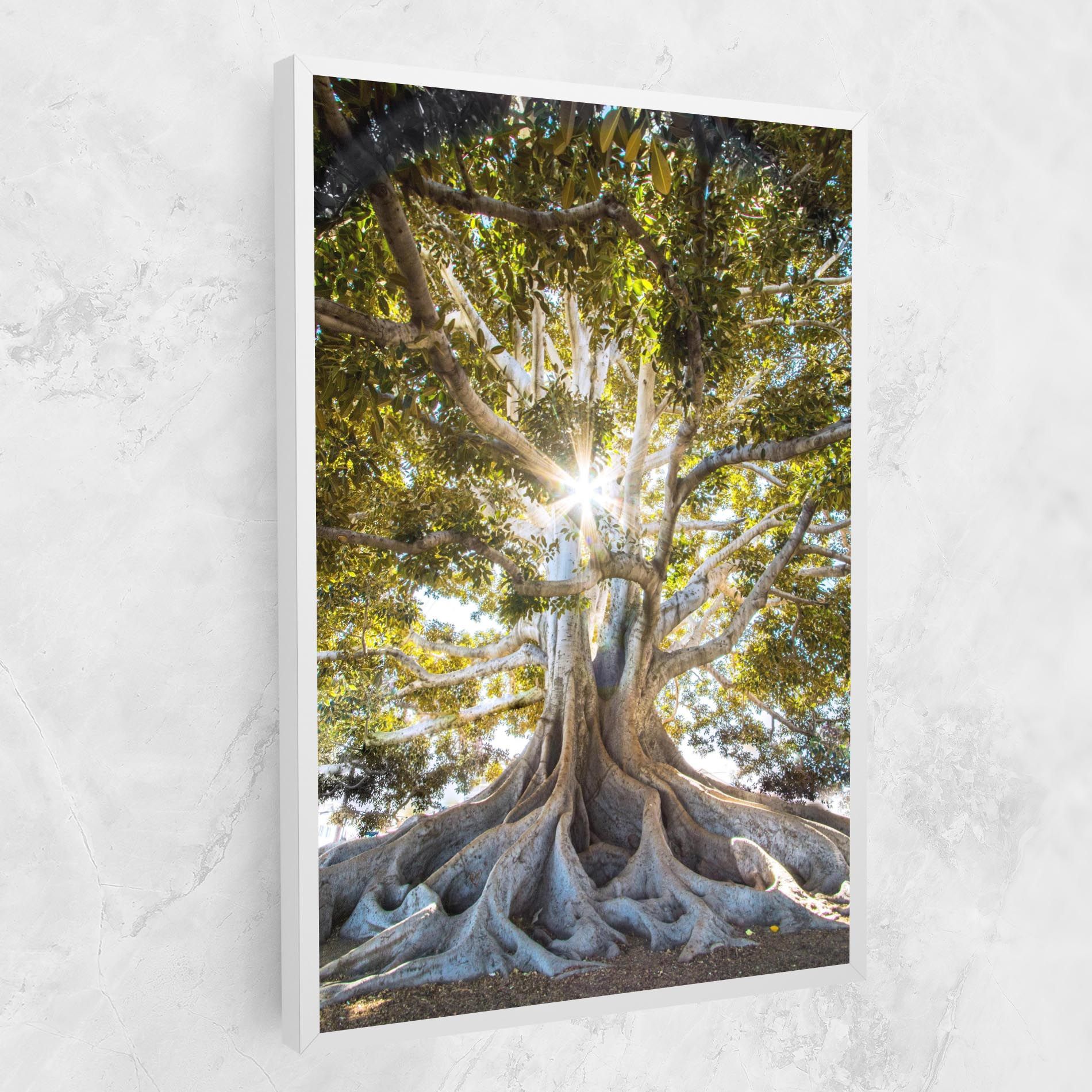 Big Old Tree mockup 1