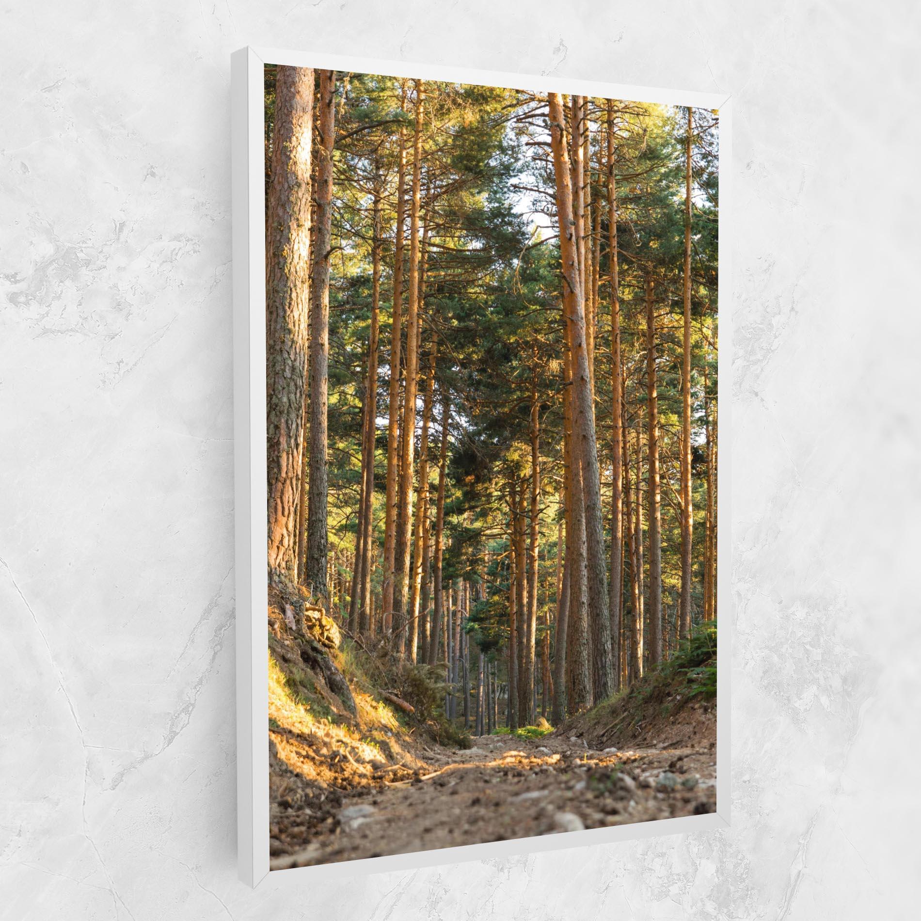 Tablou Canvas Big Trees Forest mockup 1