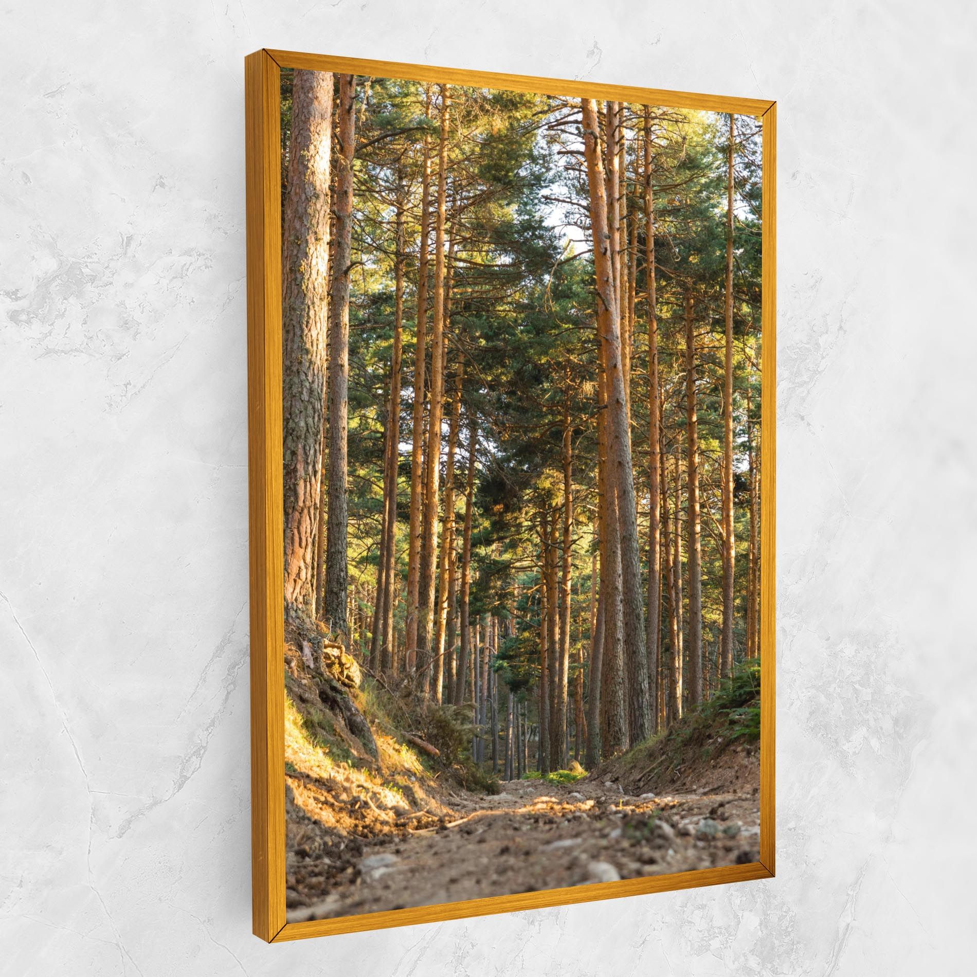 Big Trees Forest mockup 1