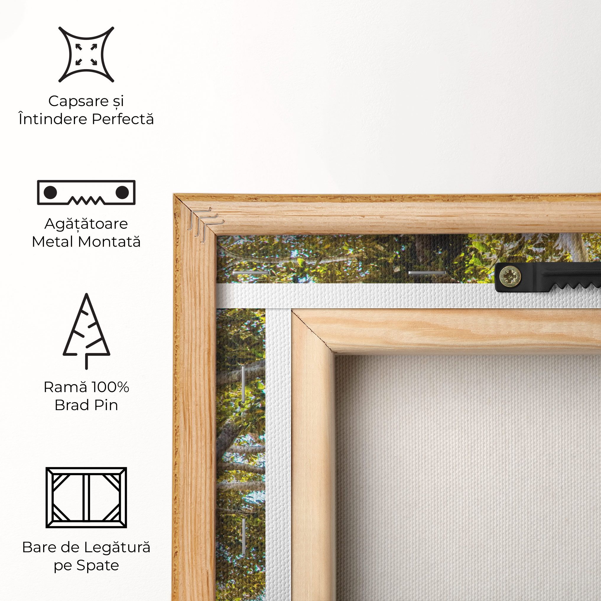 Big Old Tree mockup 5