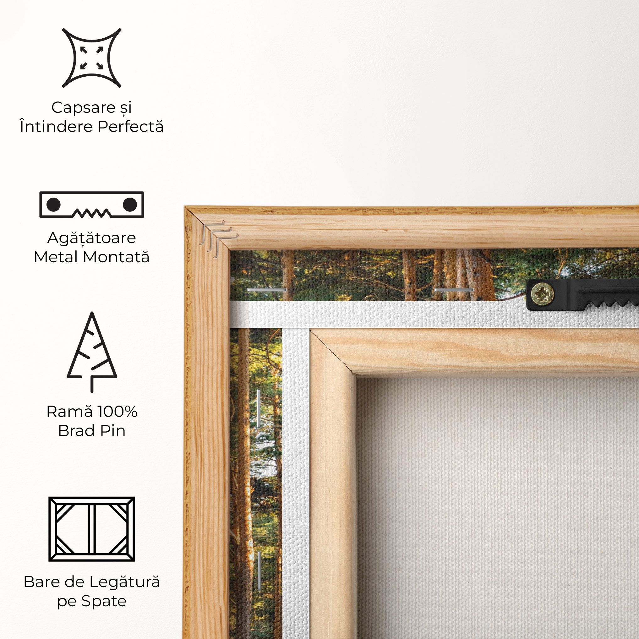 Big Trees Forest mockup 5