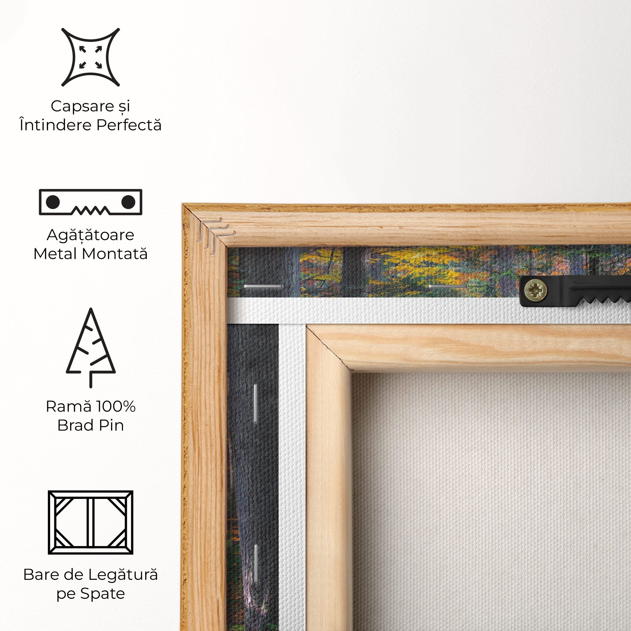 Dreamy Path Dorest mockup 5