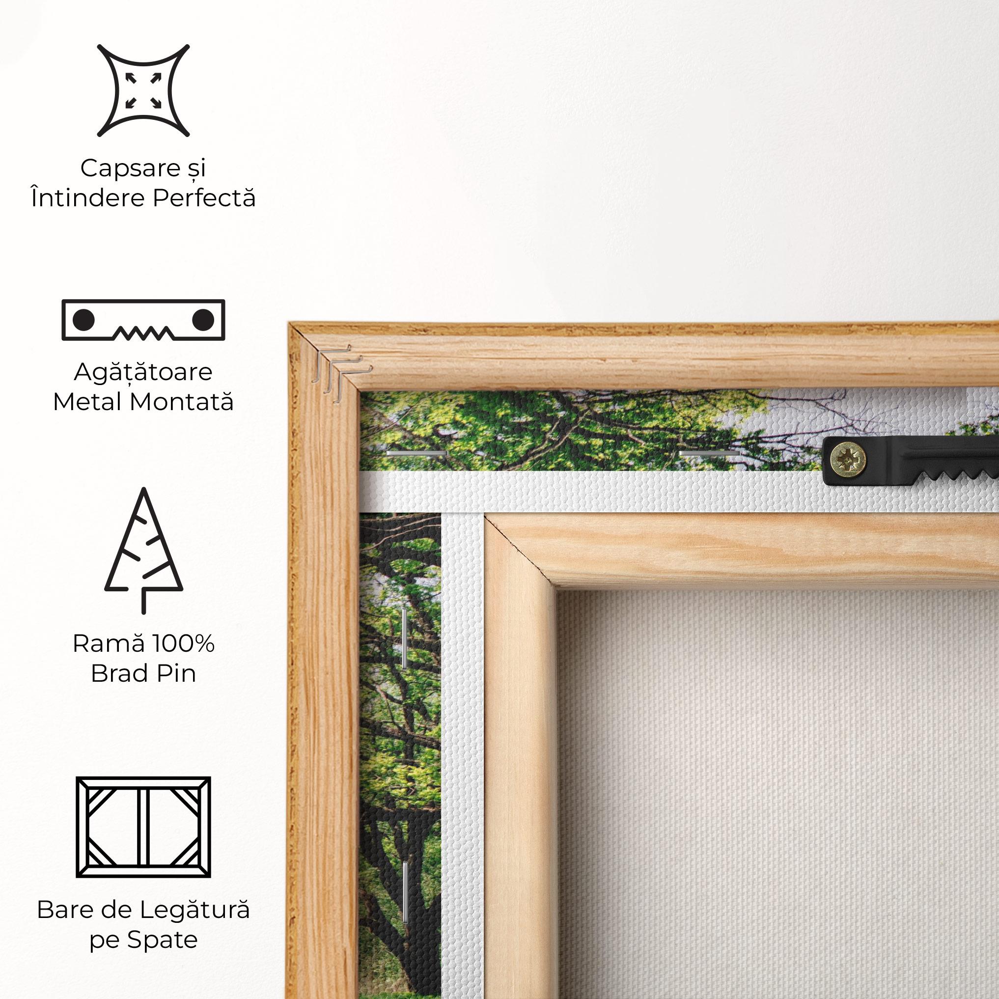 Tablou Canvas Forest Green Path mockup 5