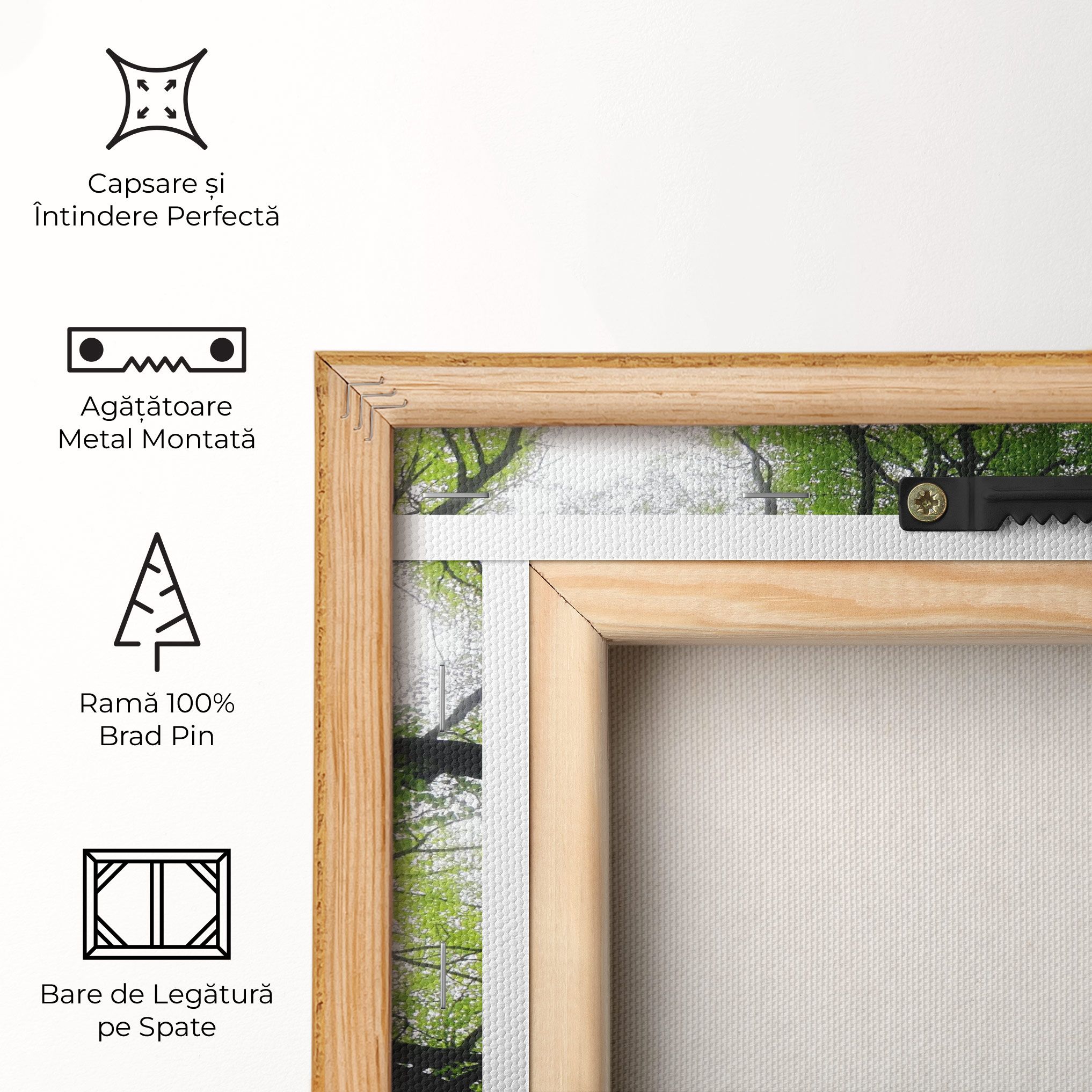 Forest Green Tree mockup 5