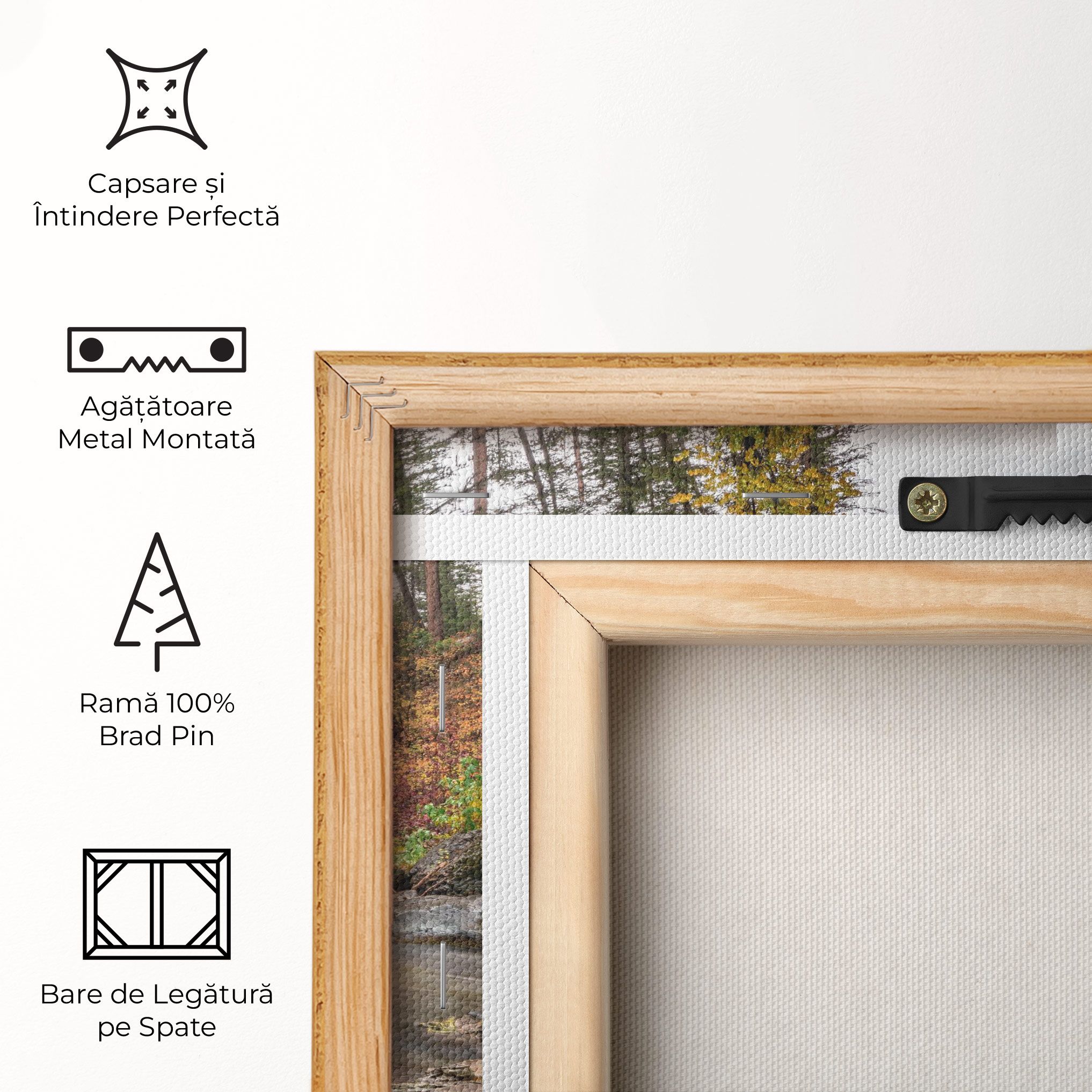 Forest Lake Rocks mockup 5