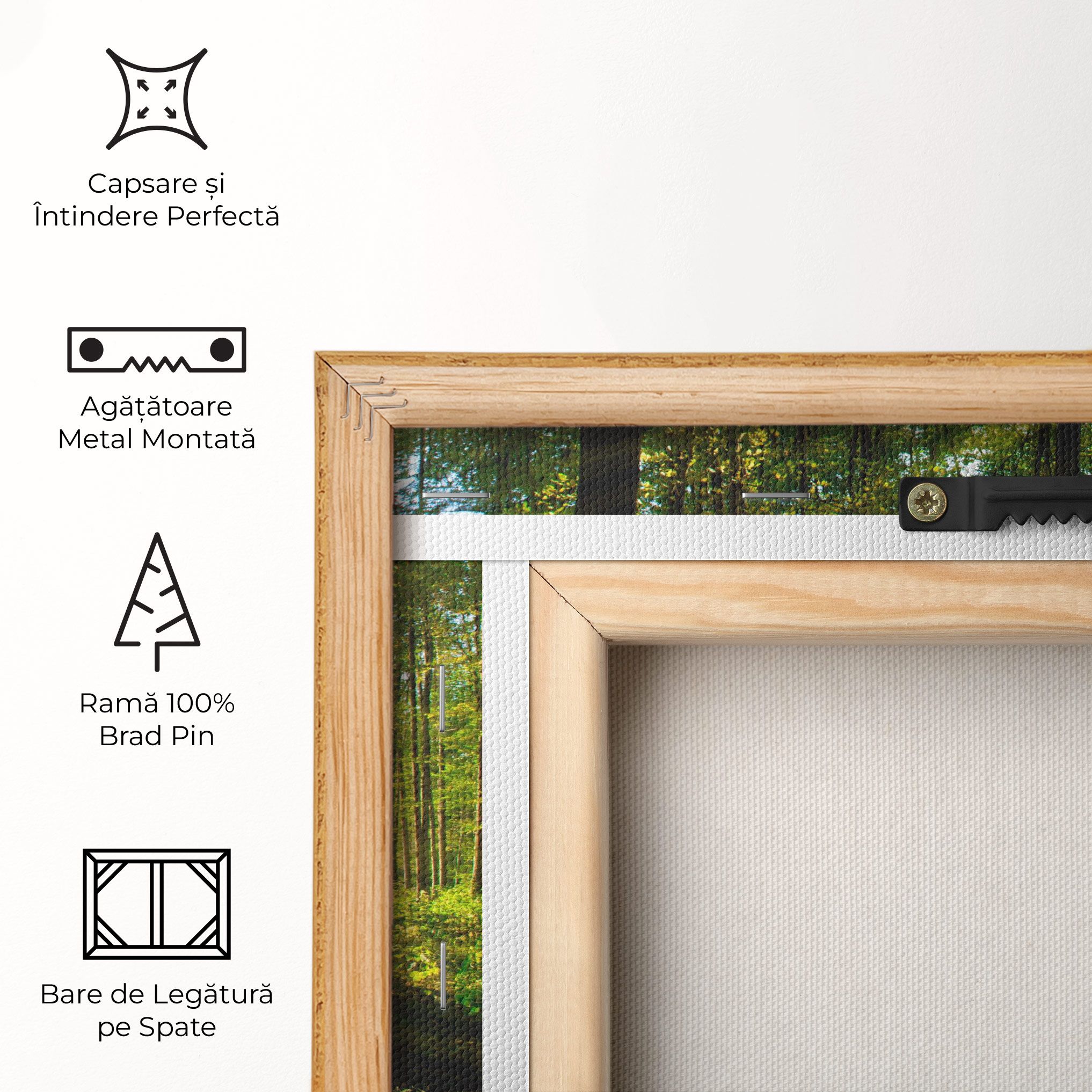 Green Light Forest mockup 5