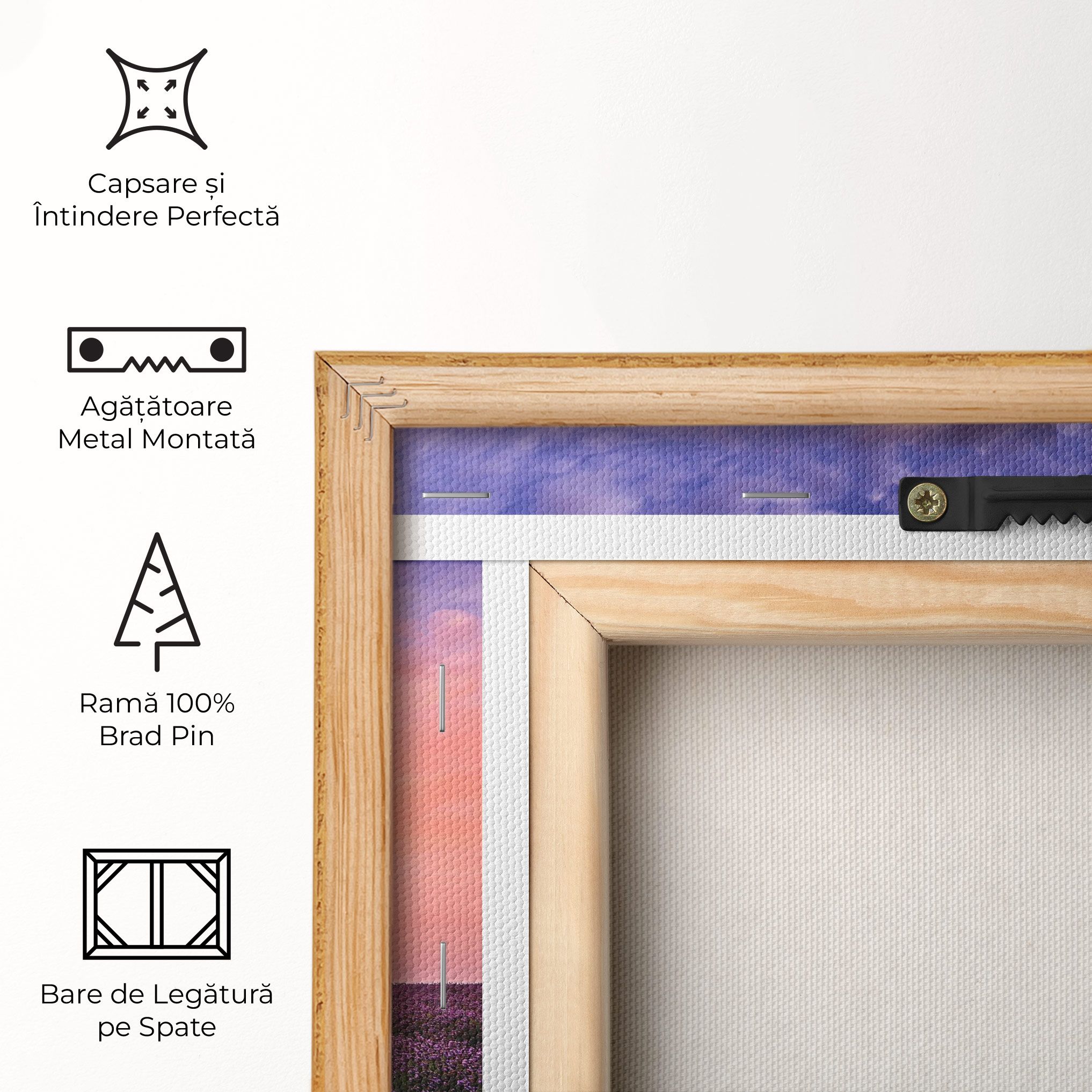 Lavender Field mockup 5