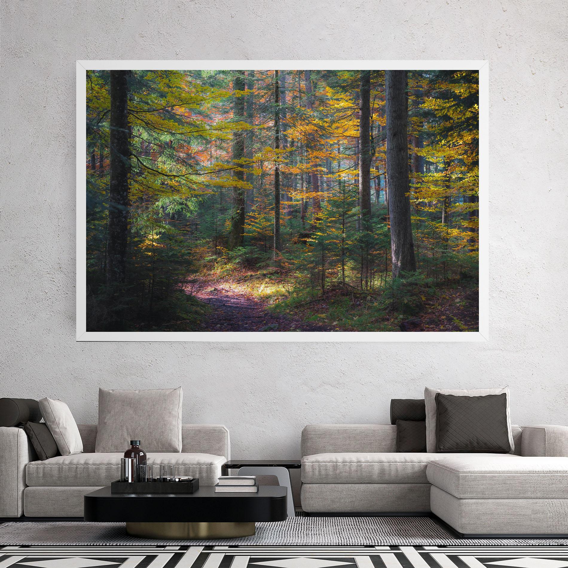 Tablou Canvas Dreamy Path Dorest mockup 2