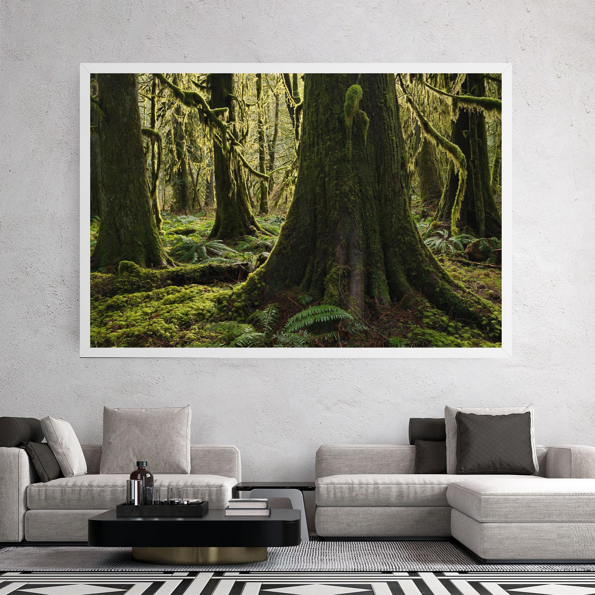 Tablou Canvas Green Moss Forest mockup 2