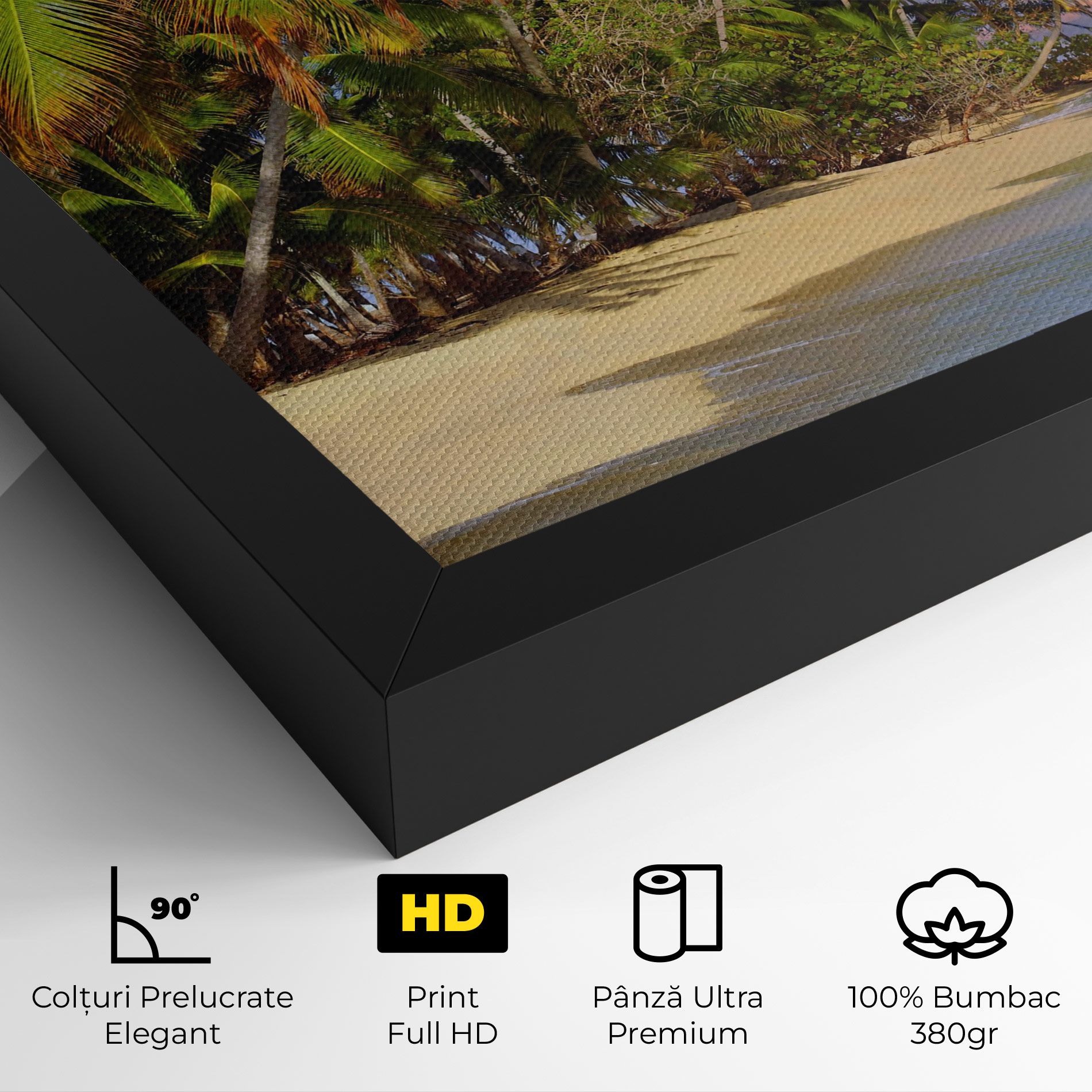 Coconut Tree Sunset mockup 4