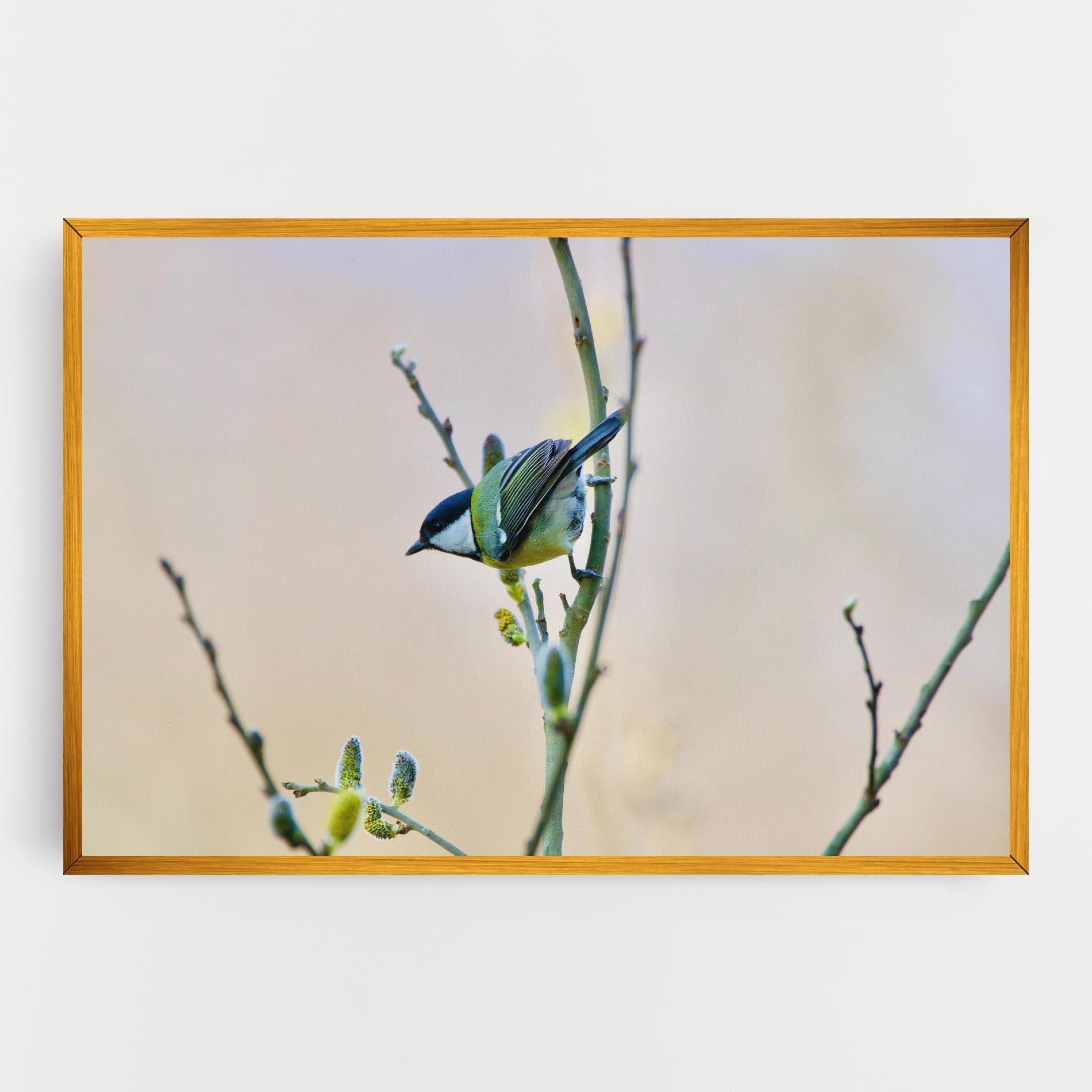Tablou Canvas Beautiful Spring Bird mockup 0