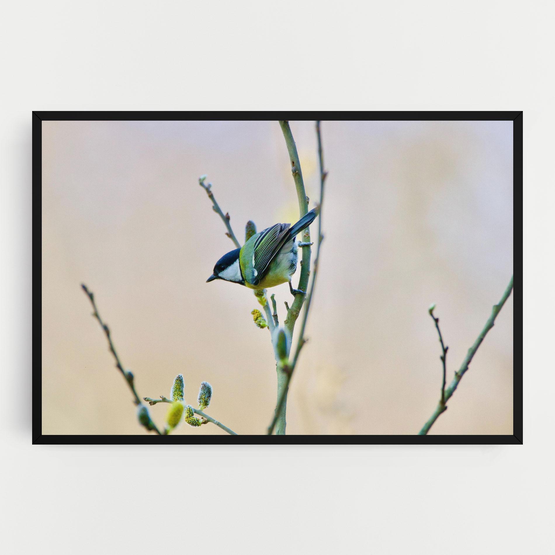 Tablou Canvas Beautiful Spring Bird mockup 0