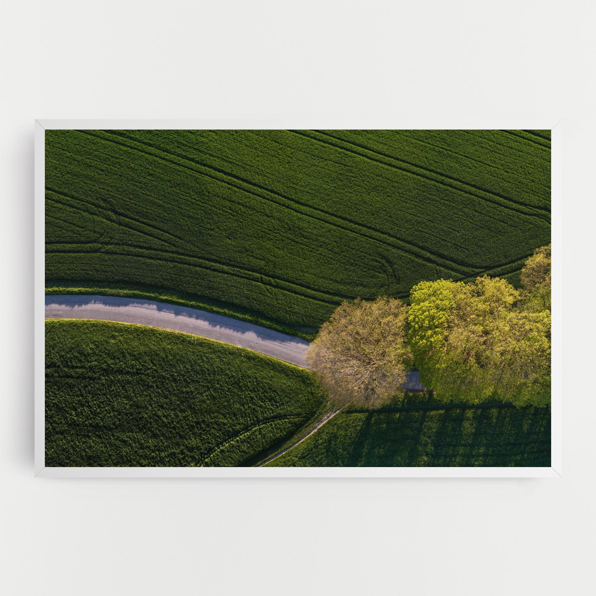 Tablou Canvas Green Road mockup 0